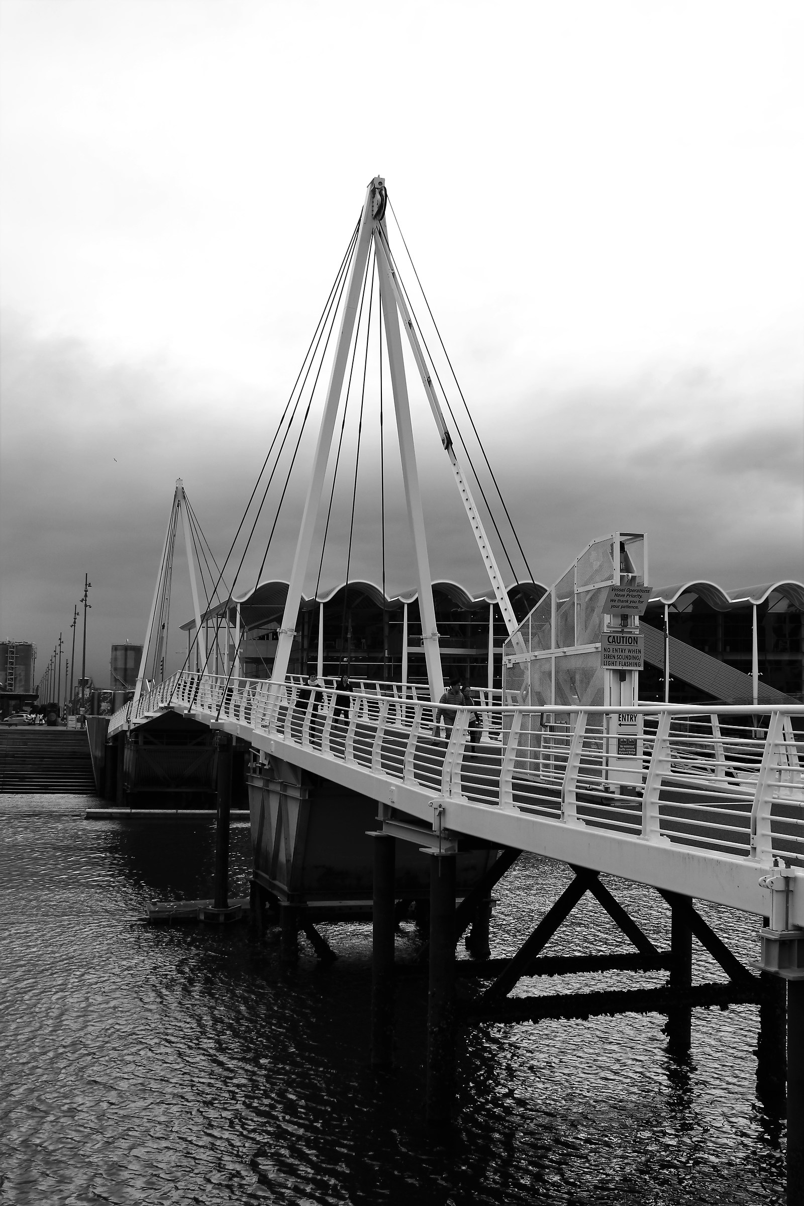 Ponte sul porto di Auckland