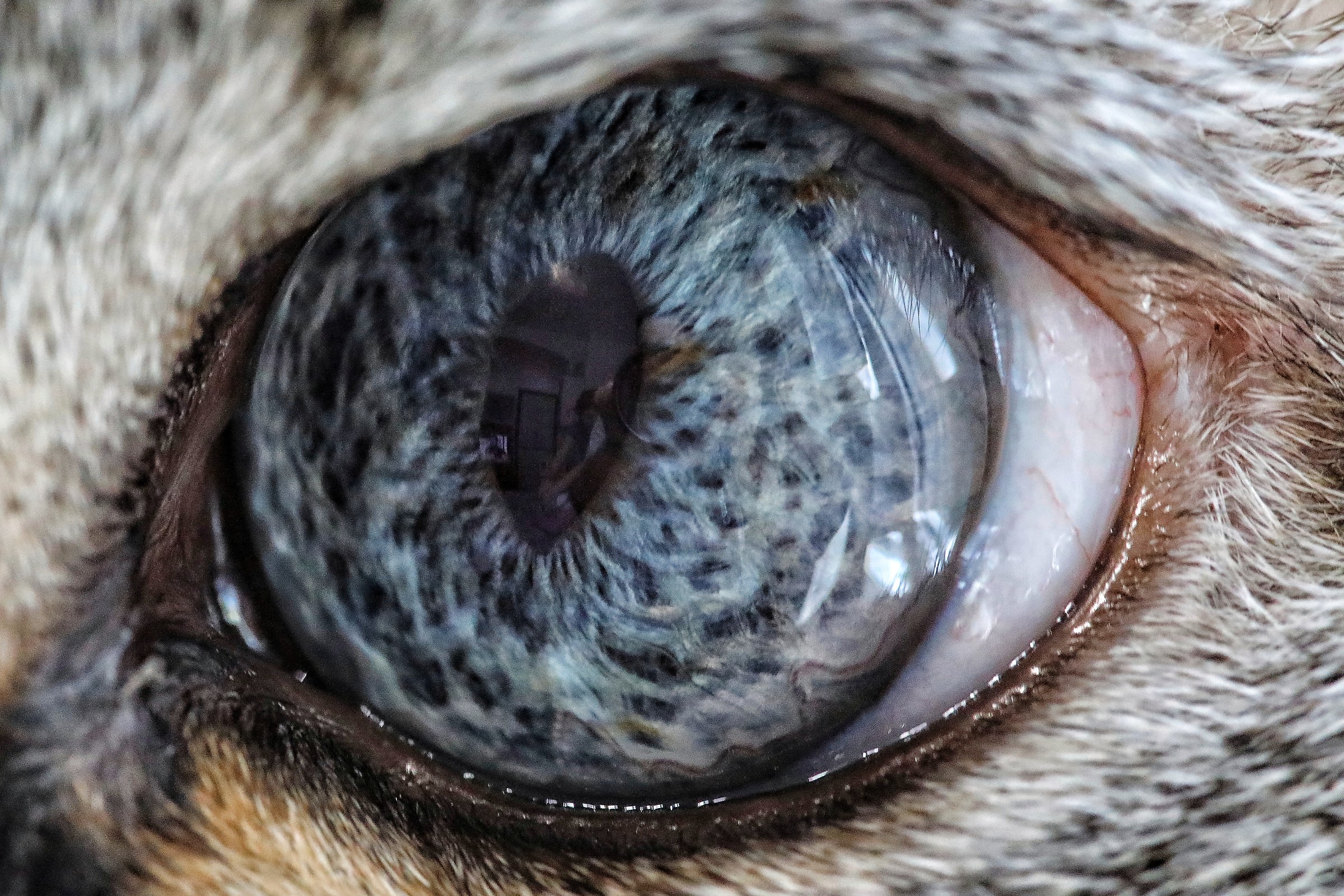 L'occhio di Mordor....