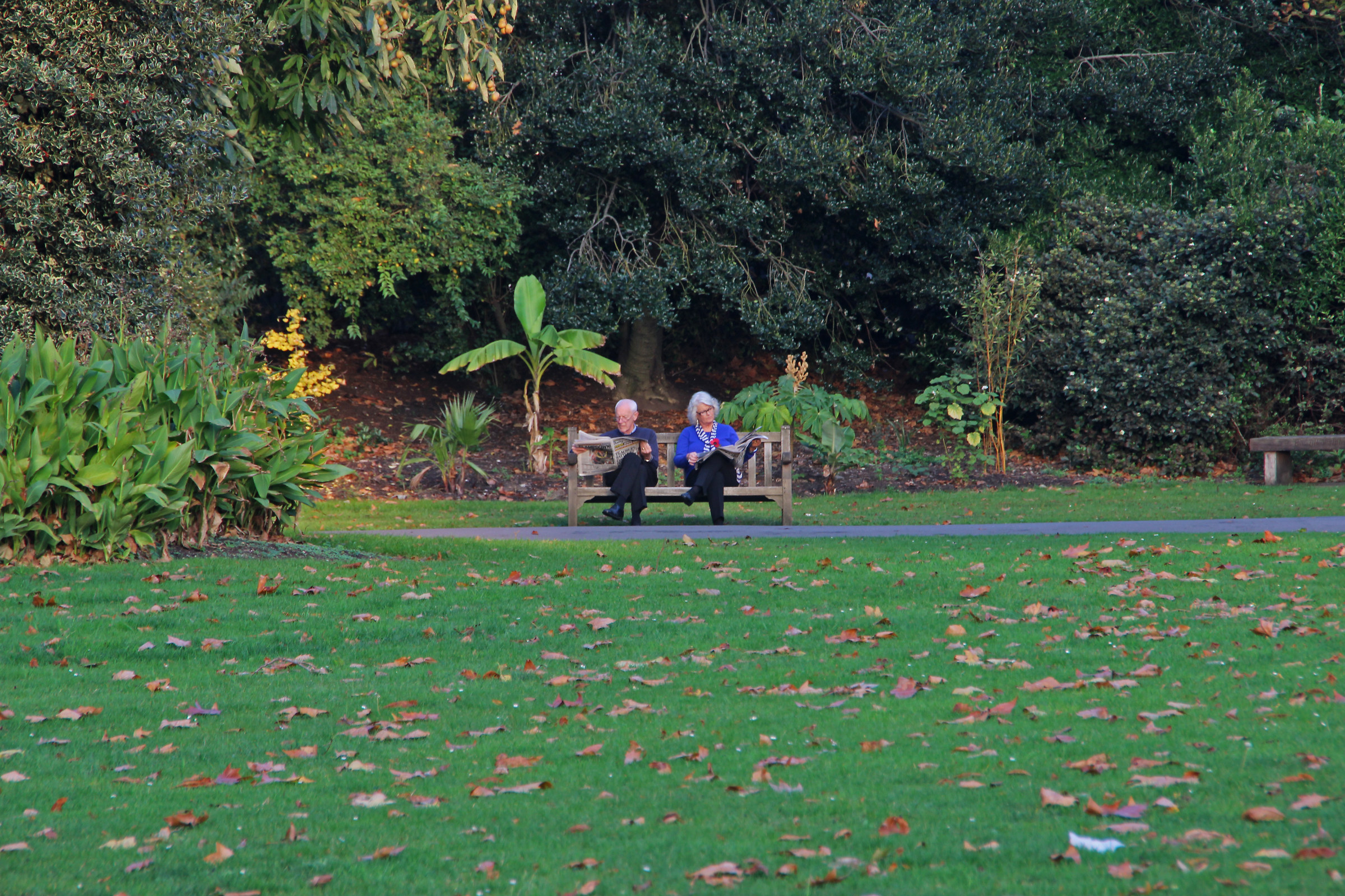 Camminando per Londra