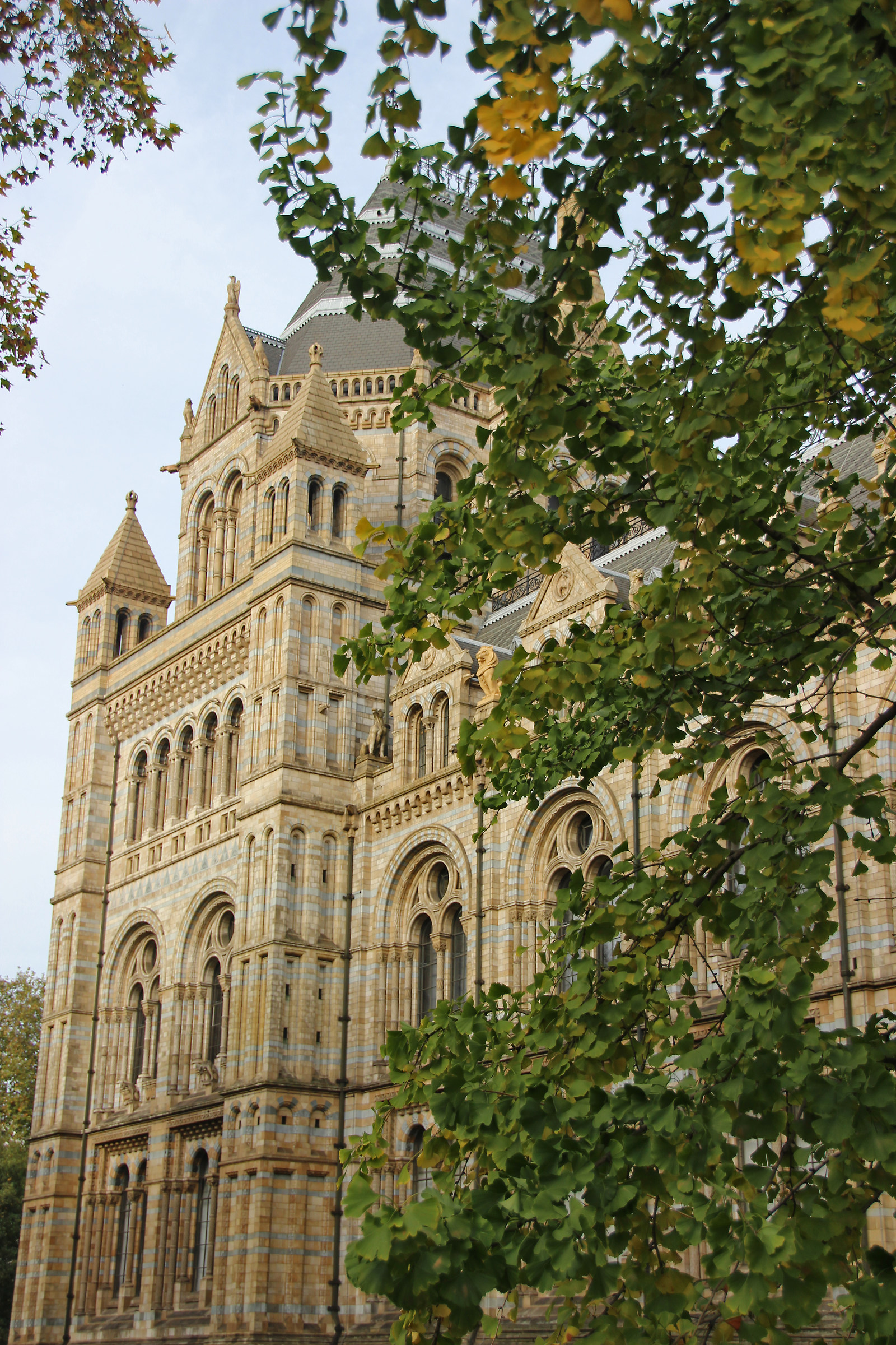 Museo di storia naturale Londra