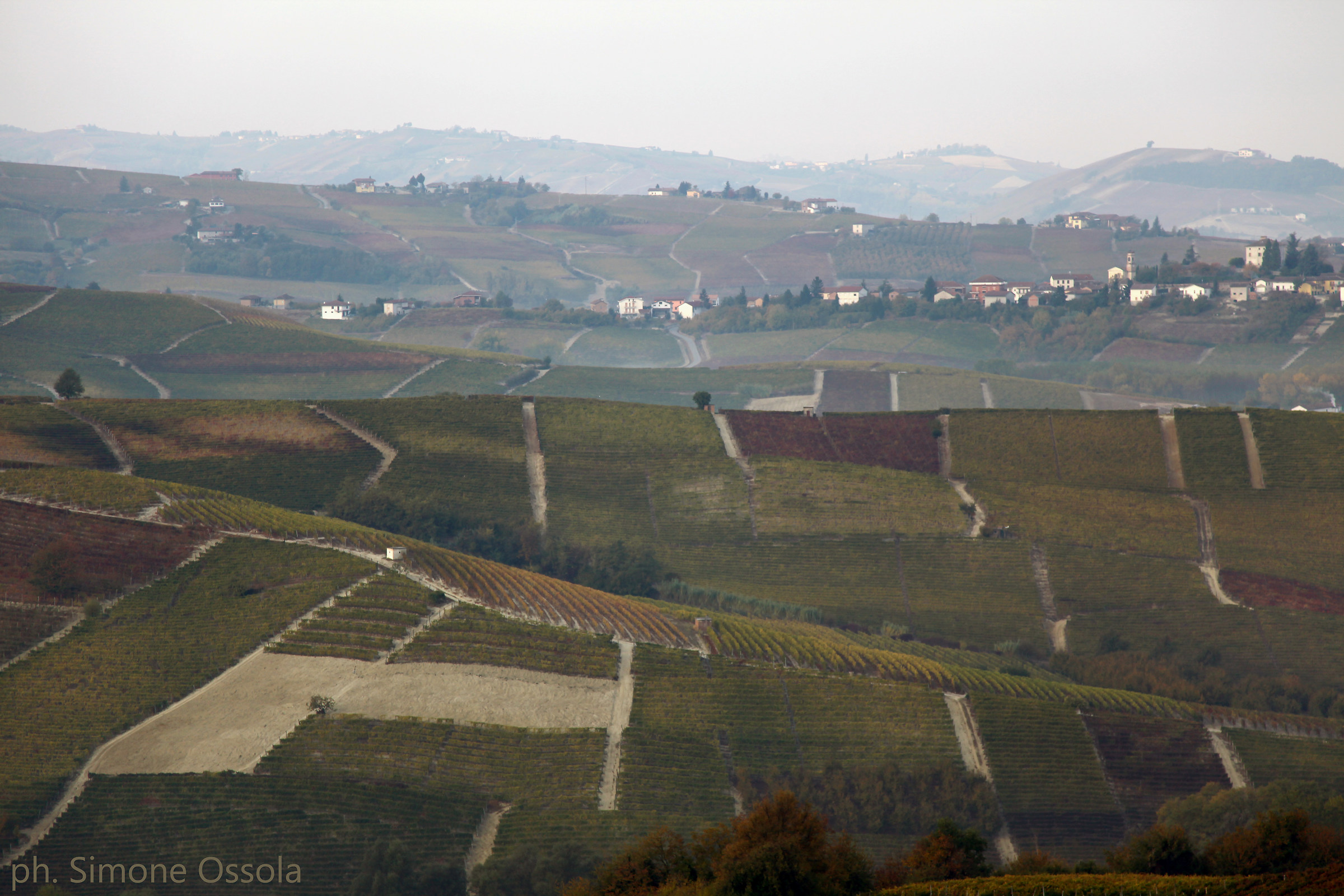 Tra Langhe e Monferrato....