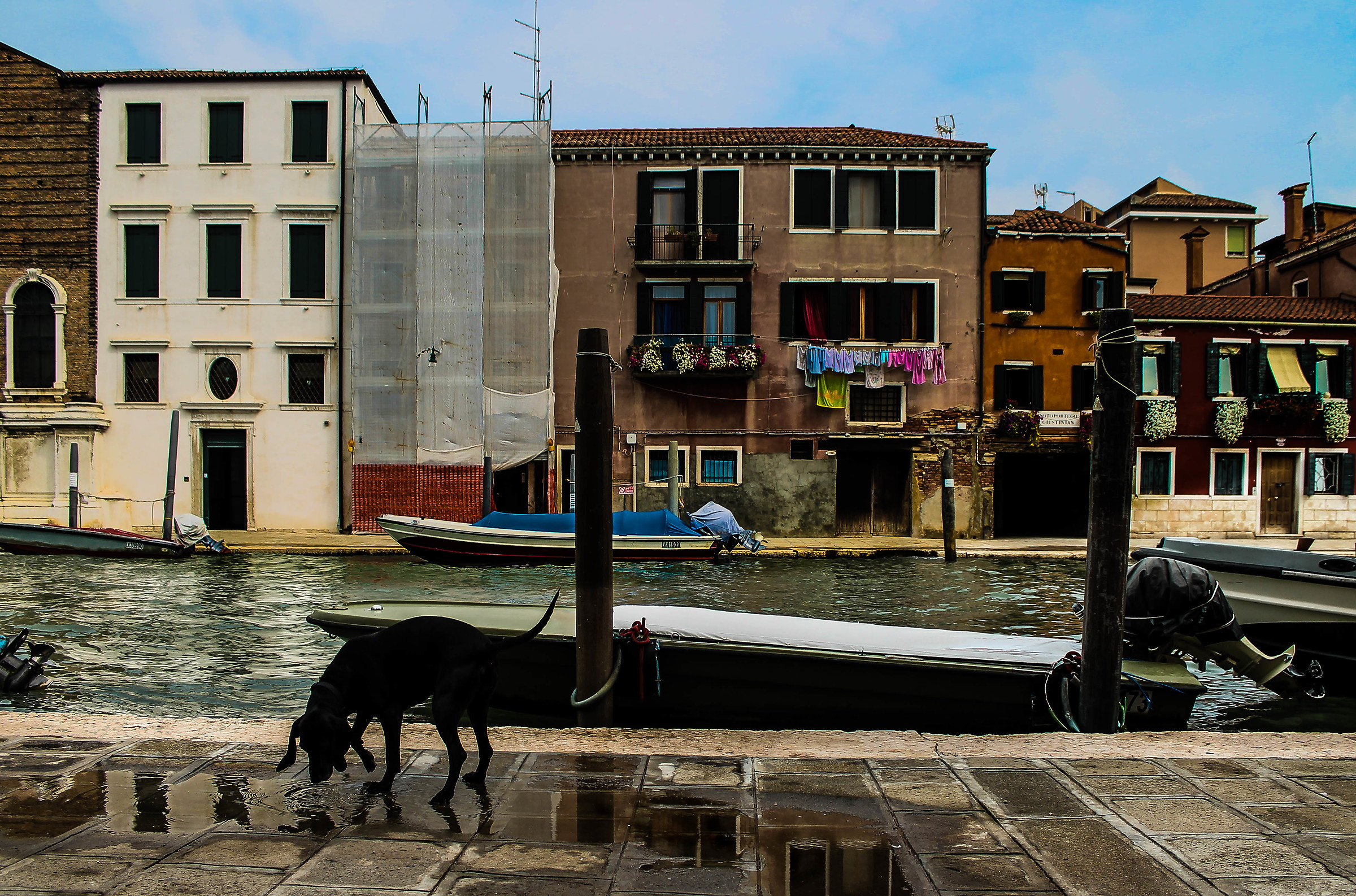 You got a friend in me