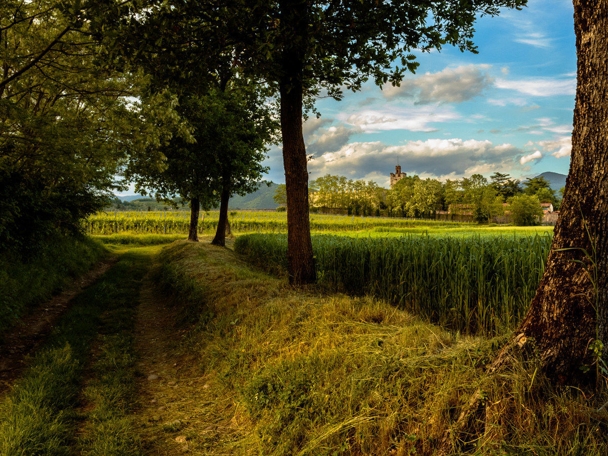 Tra vigne e castelli