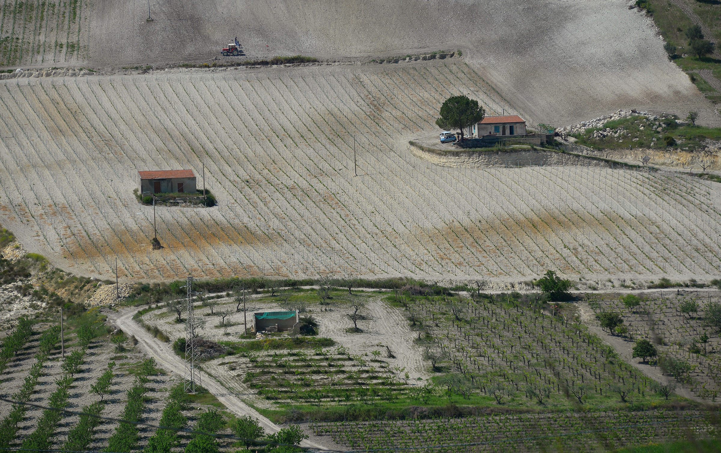 Sicilian fields