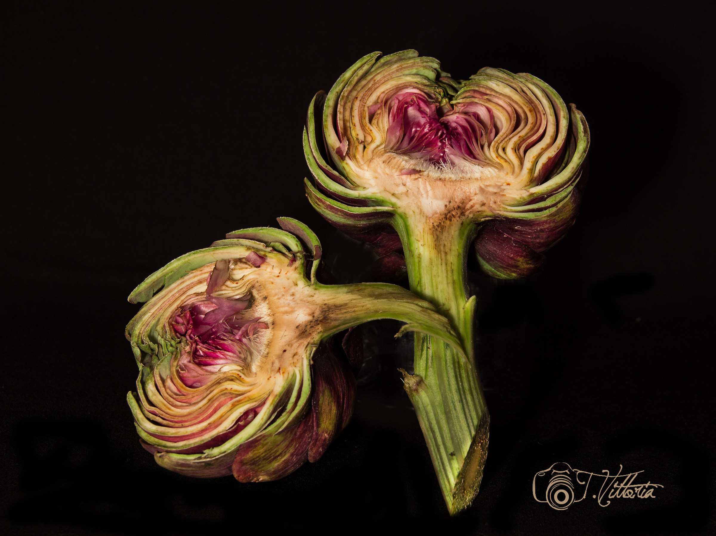 Artichokes Half-violet