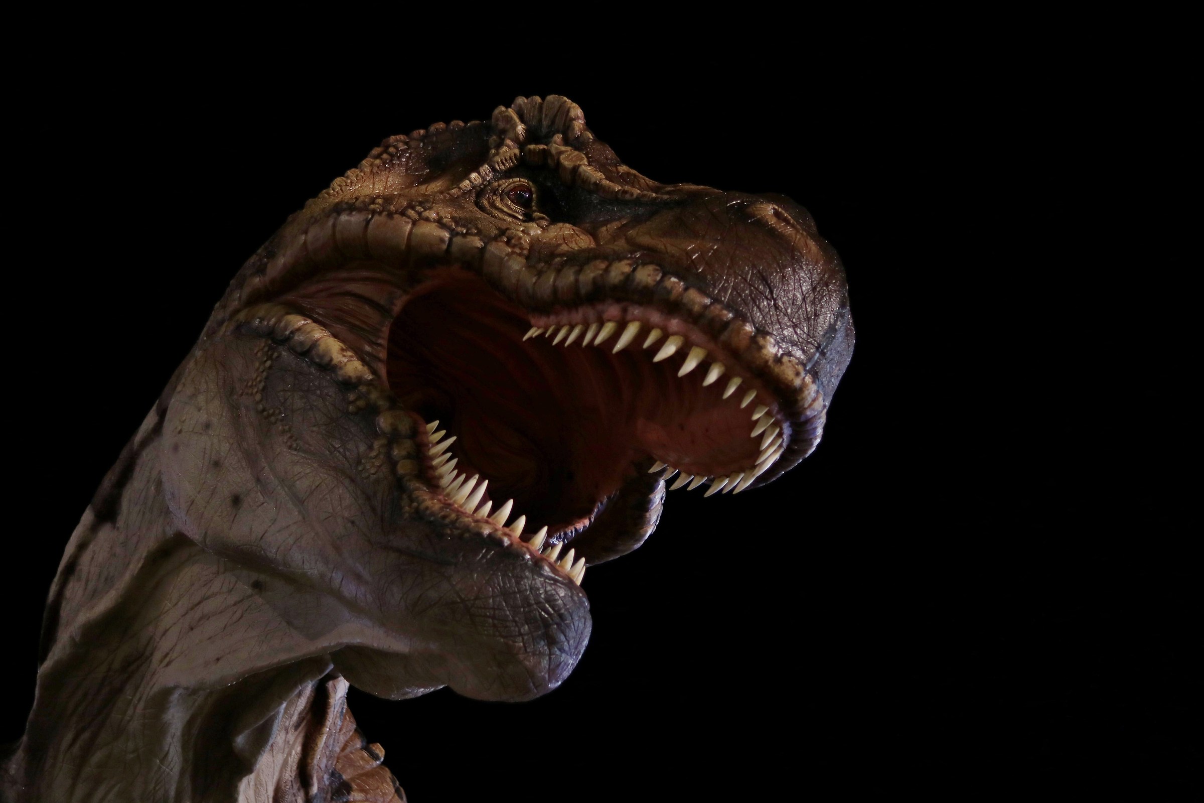 I dinosauri in mezzo a noi