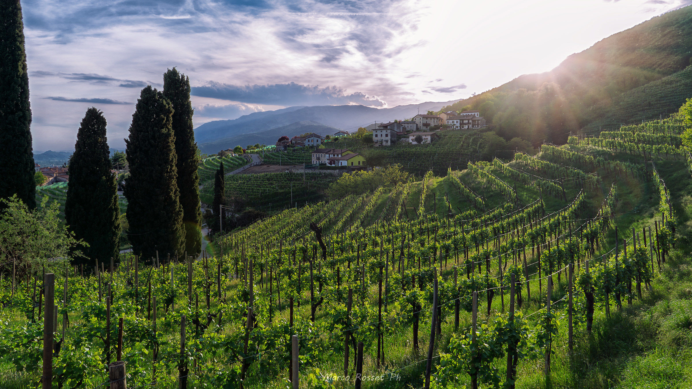 Le colline del Prosecco