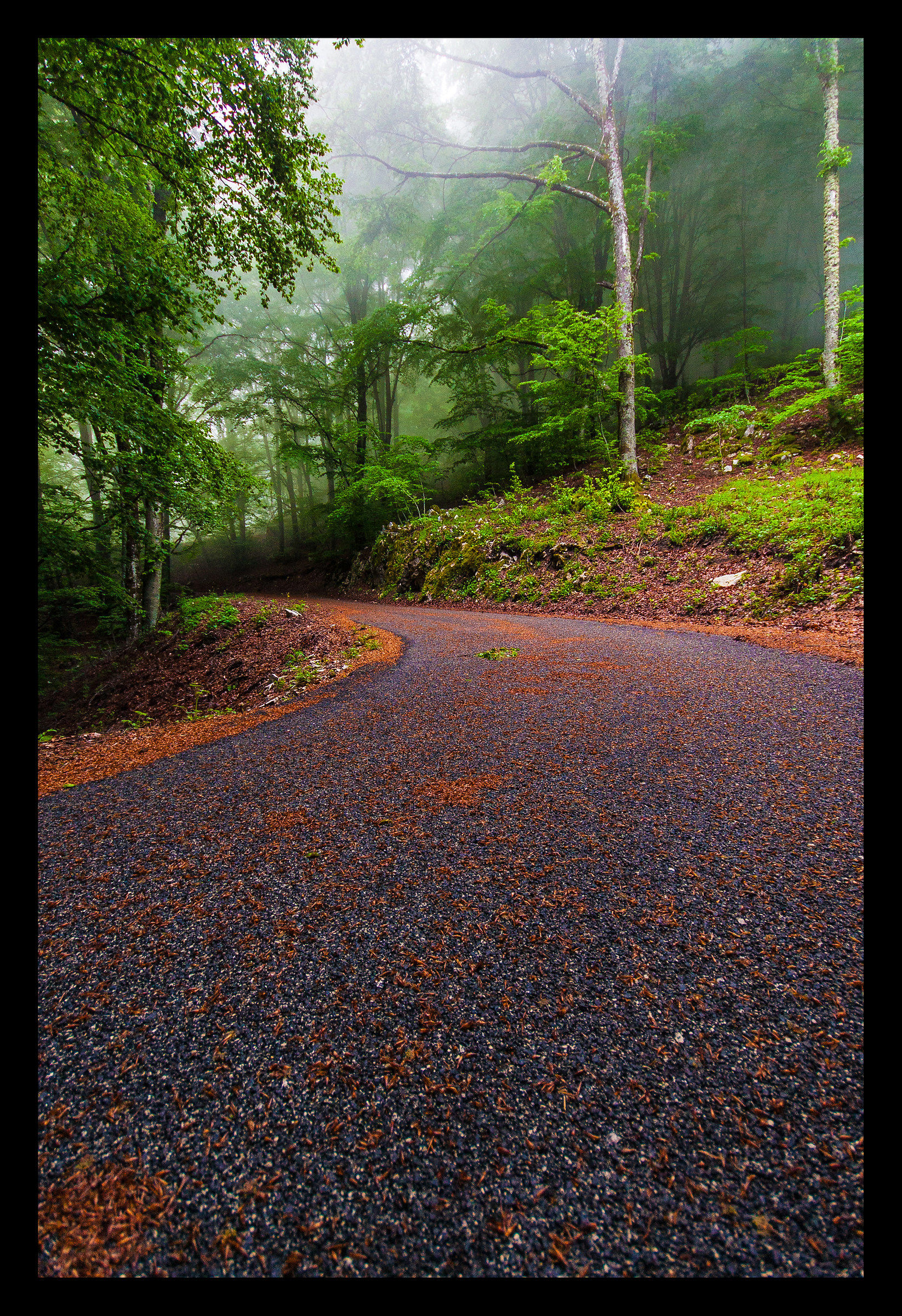 I come back after 10 years