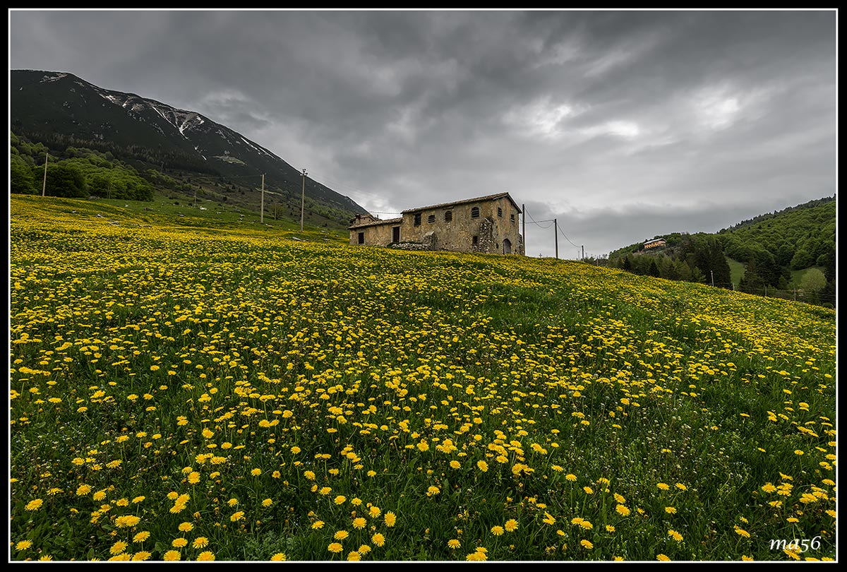 Mountain huts in spring