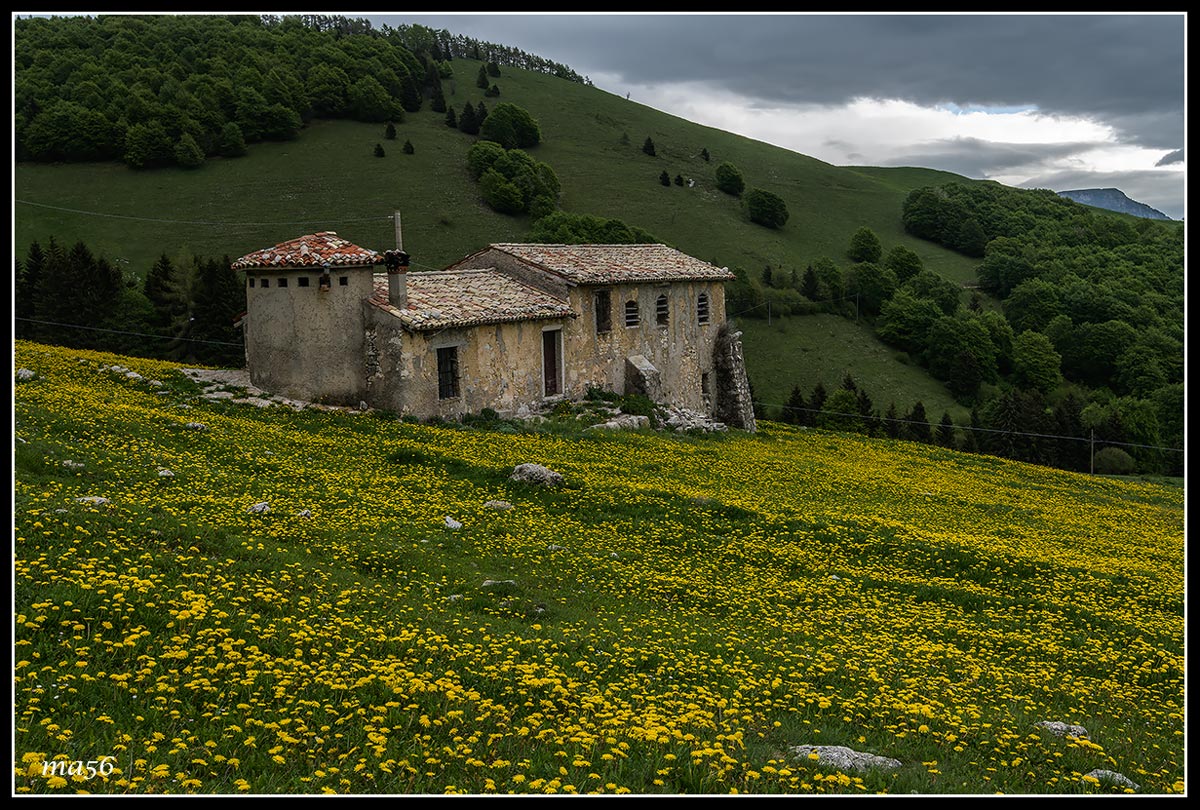 Mountain huts in spring