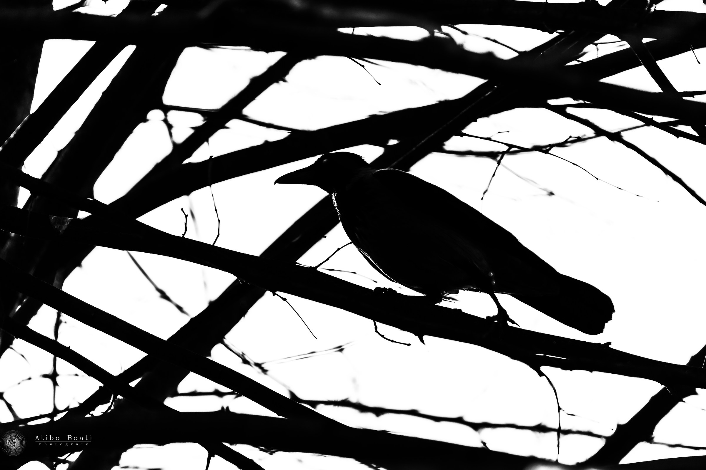 Missing of forest and of city