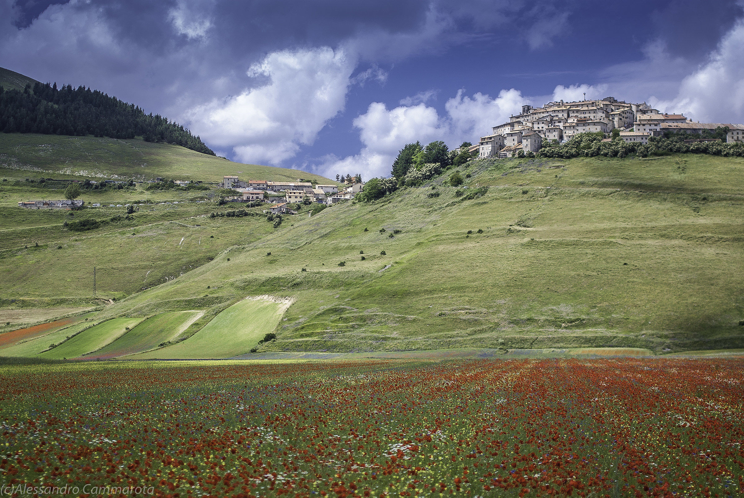 Castelluccio e la sua fioritura