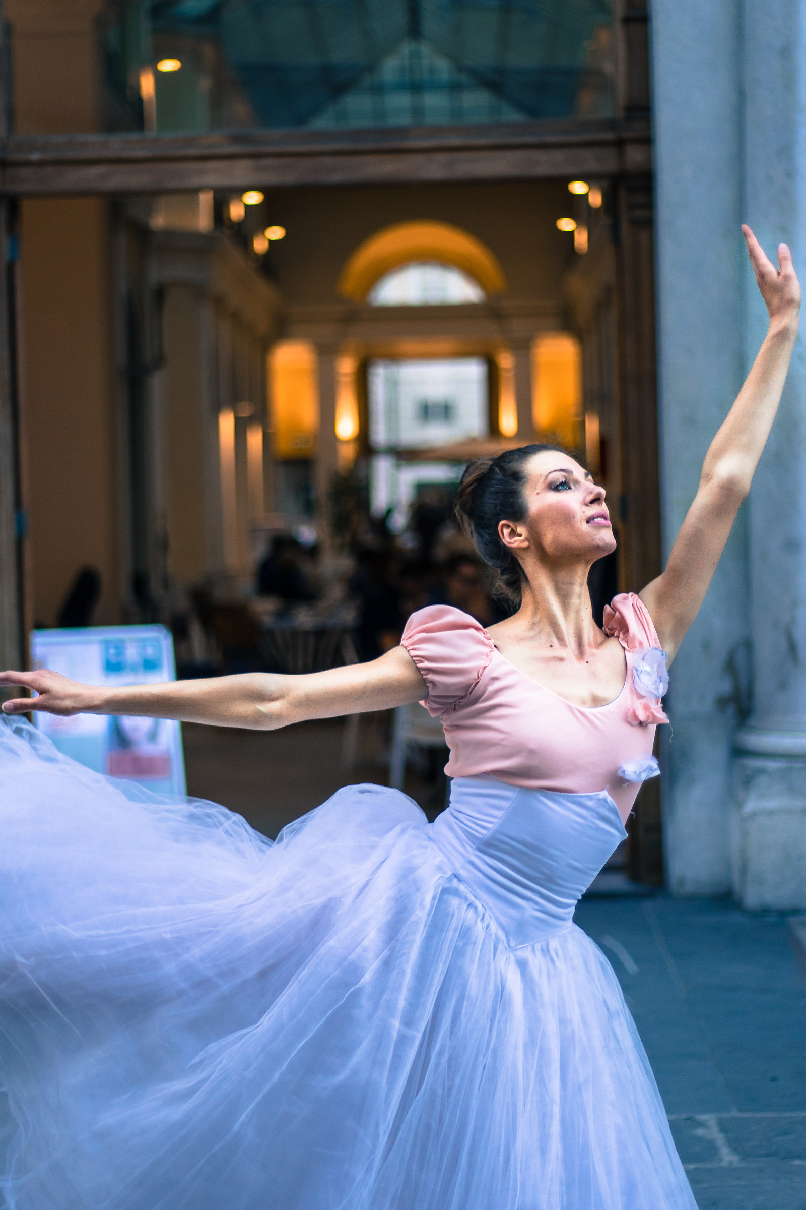 The death of the Swan