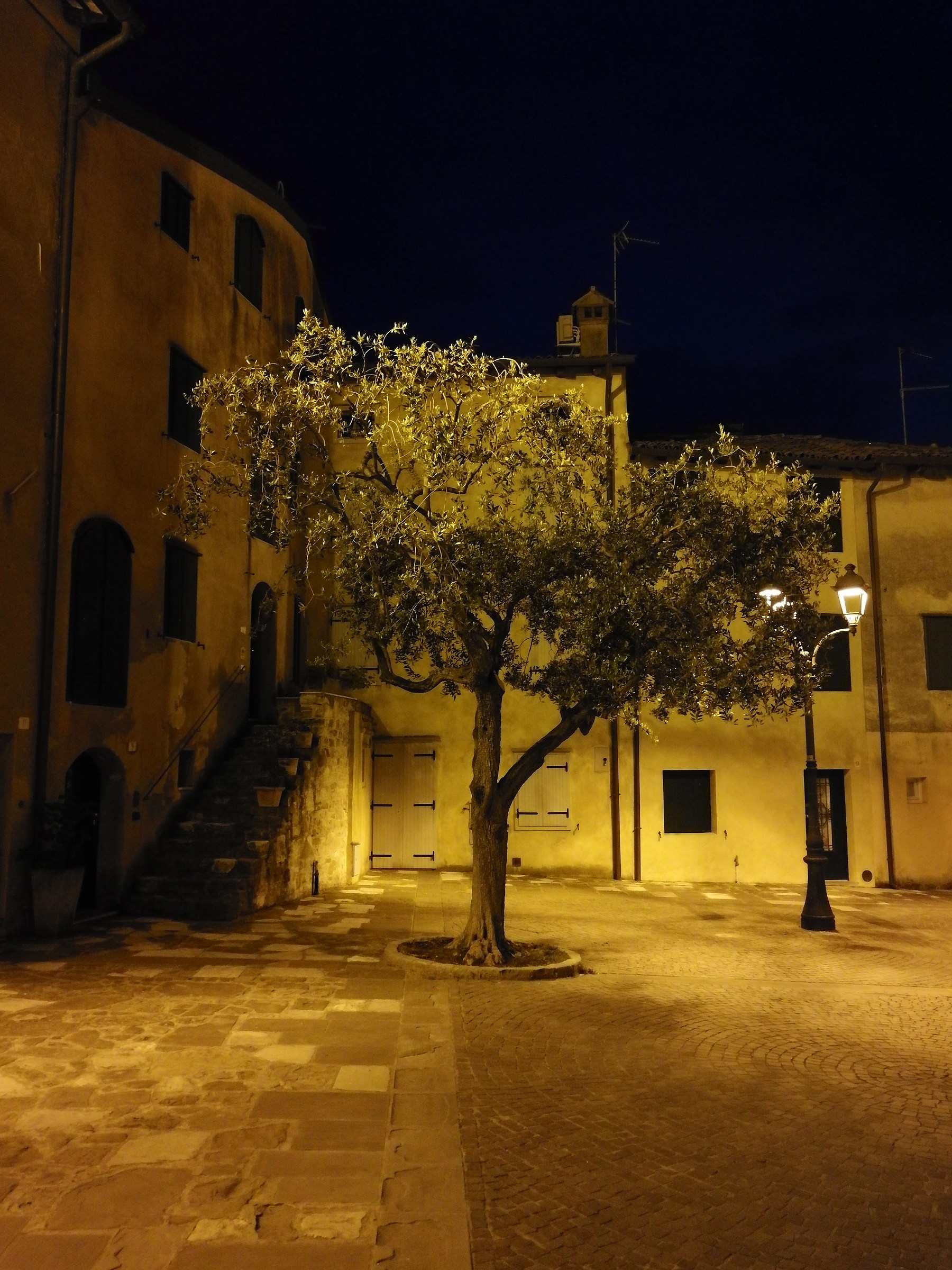 Solitude