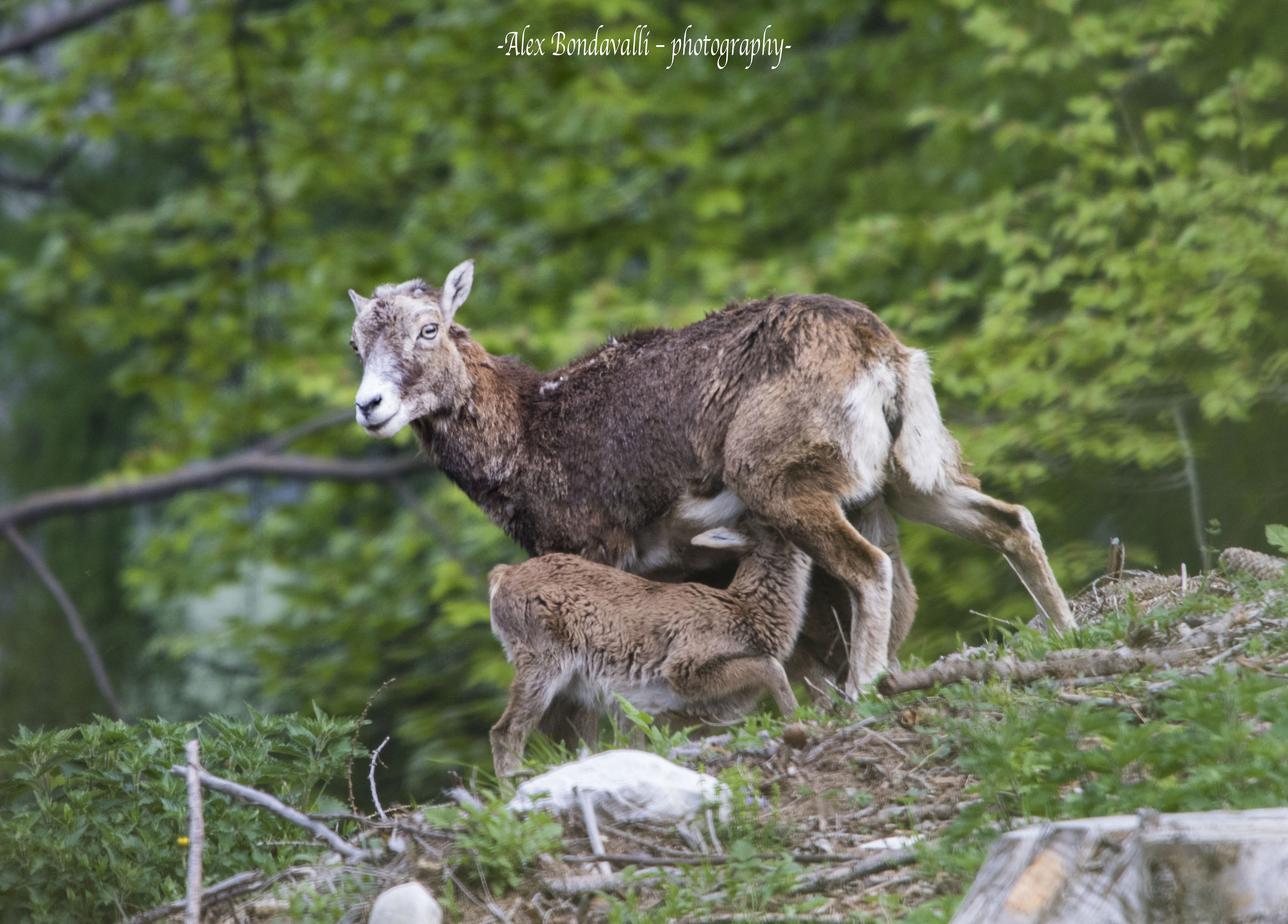 It's breakfast time....