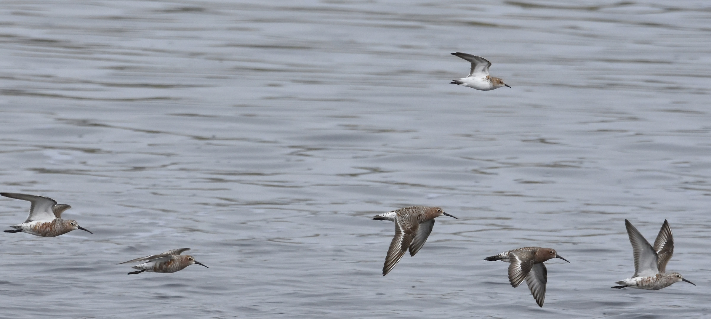 What's he doing there?