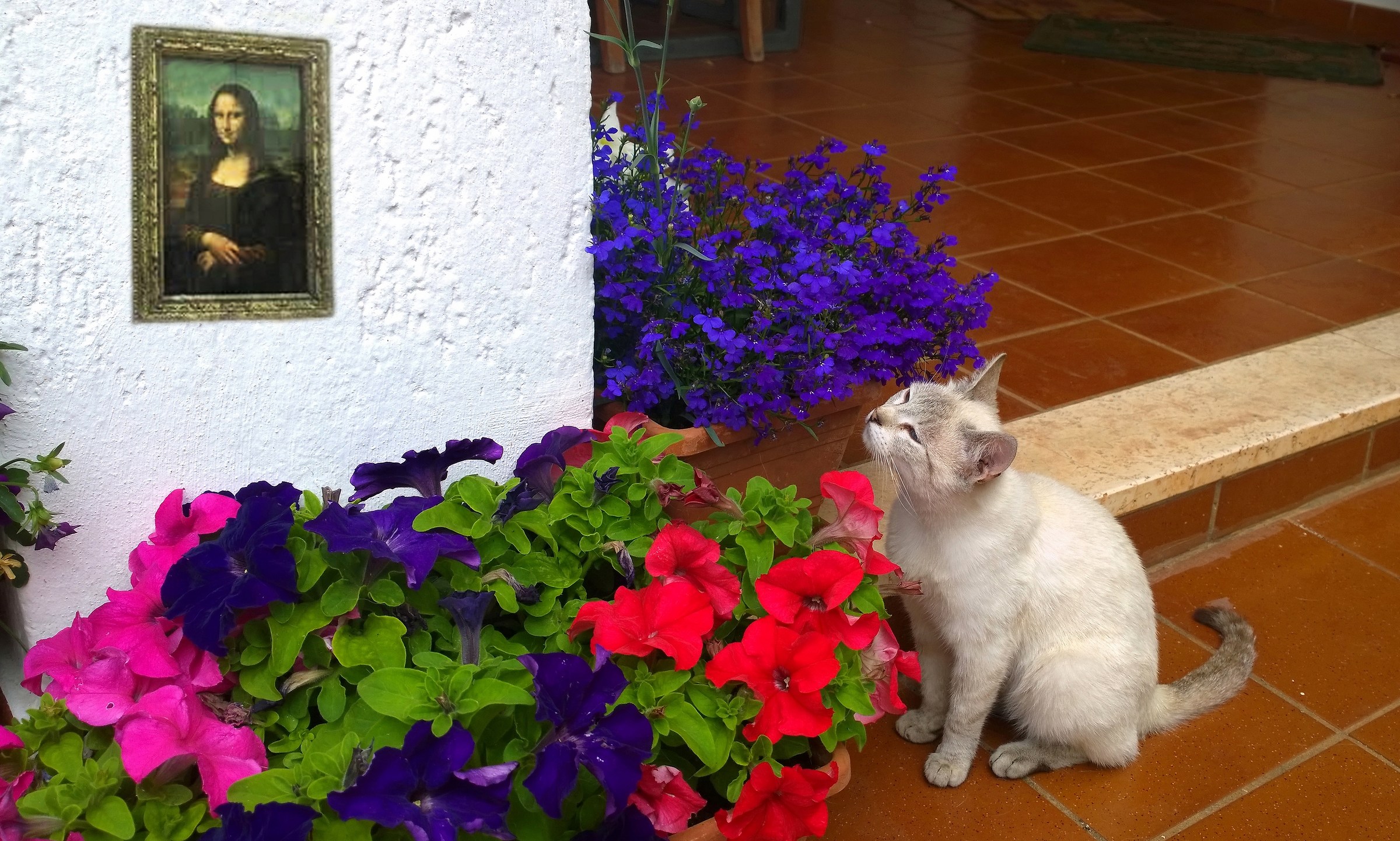 The cat and the Mona Lisa