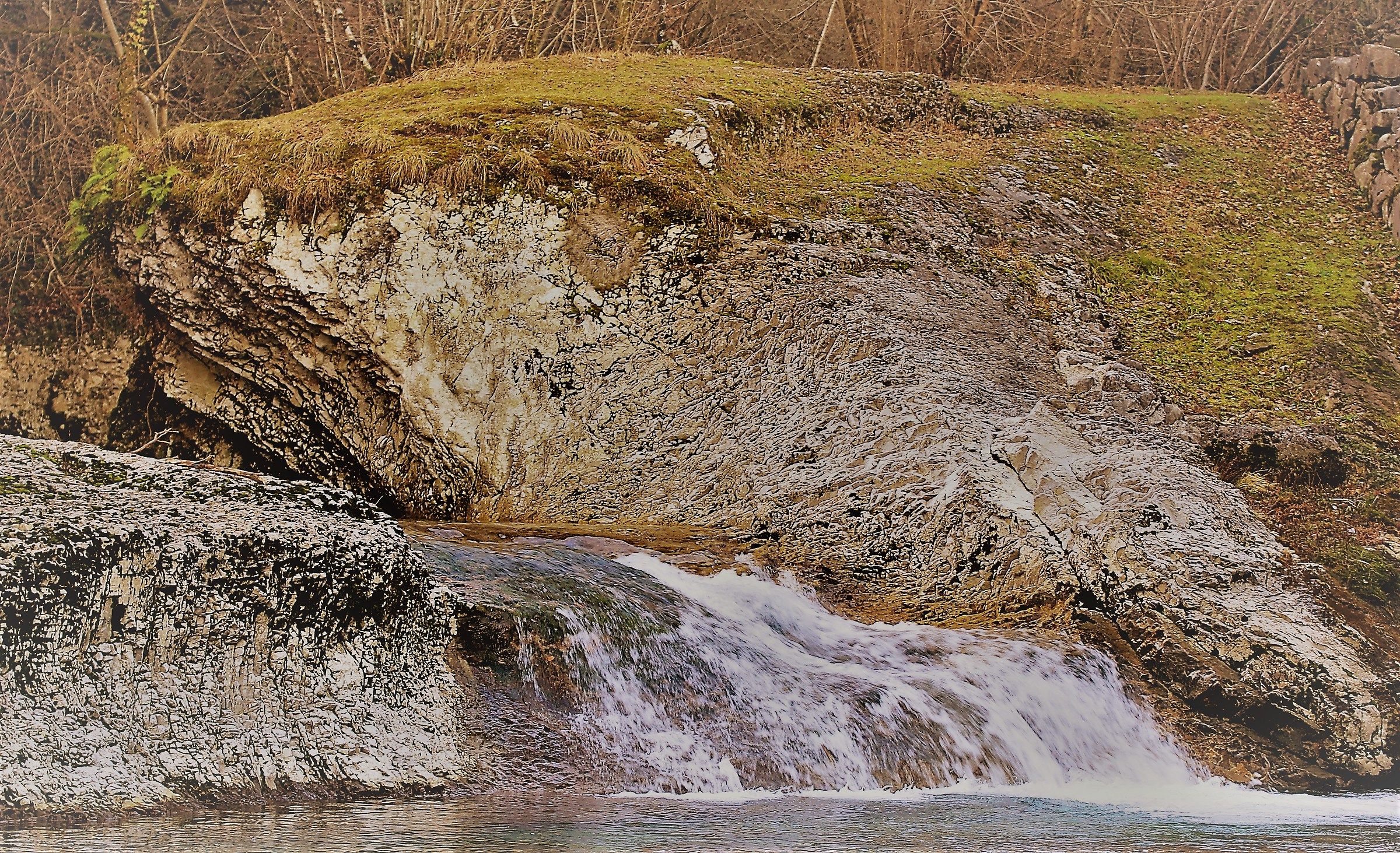 Roccia..... o Balena?
