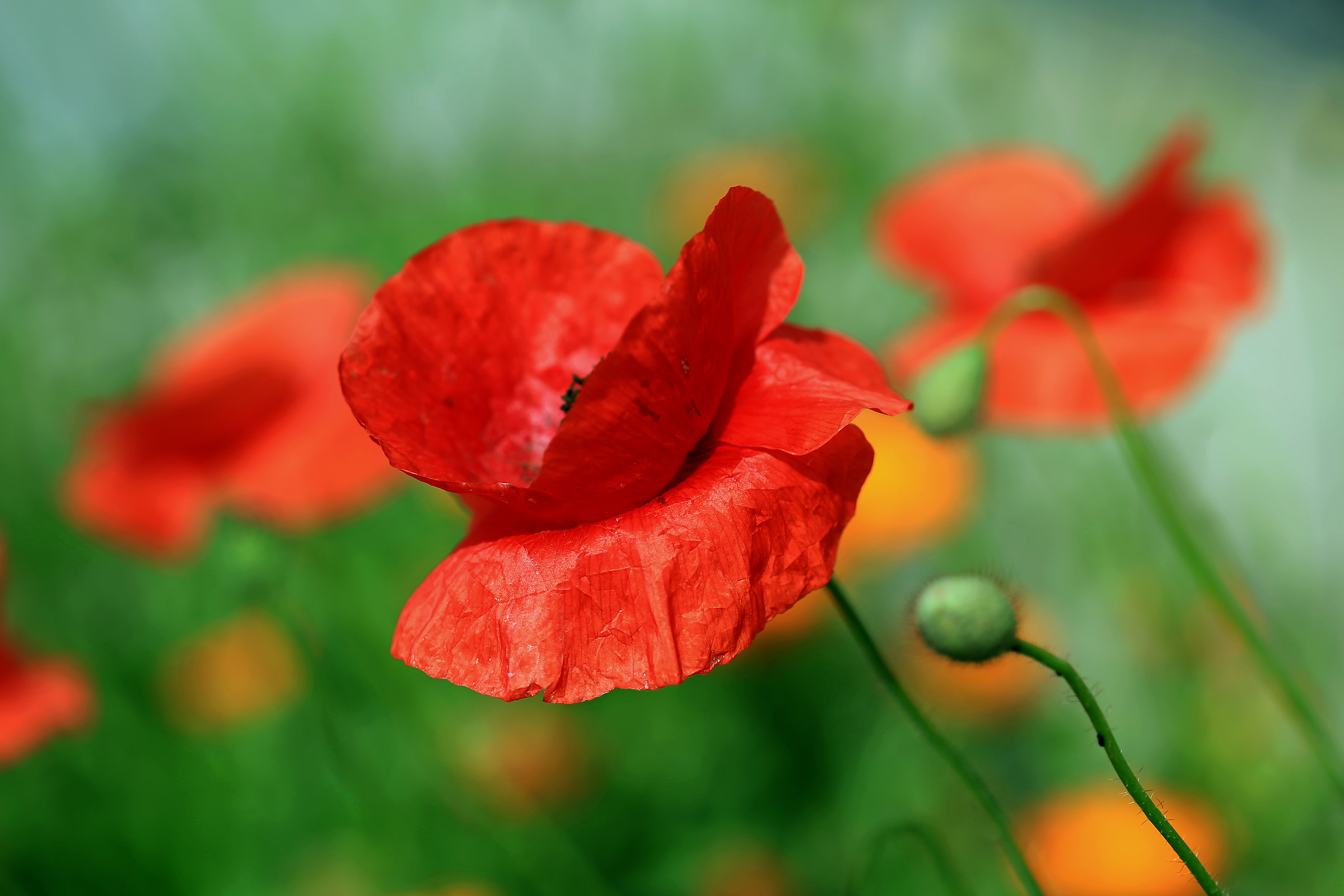 Finally a little red