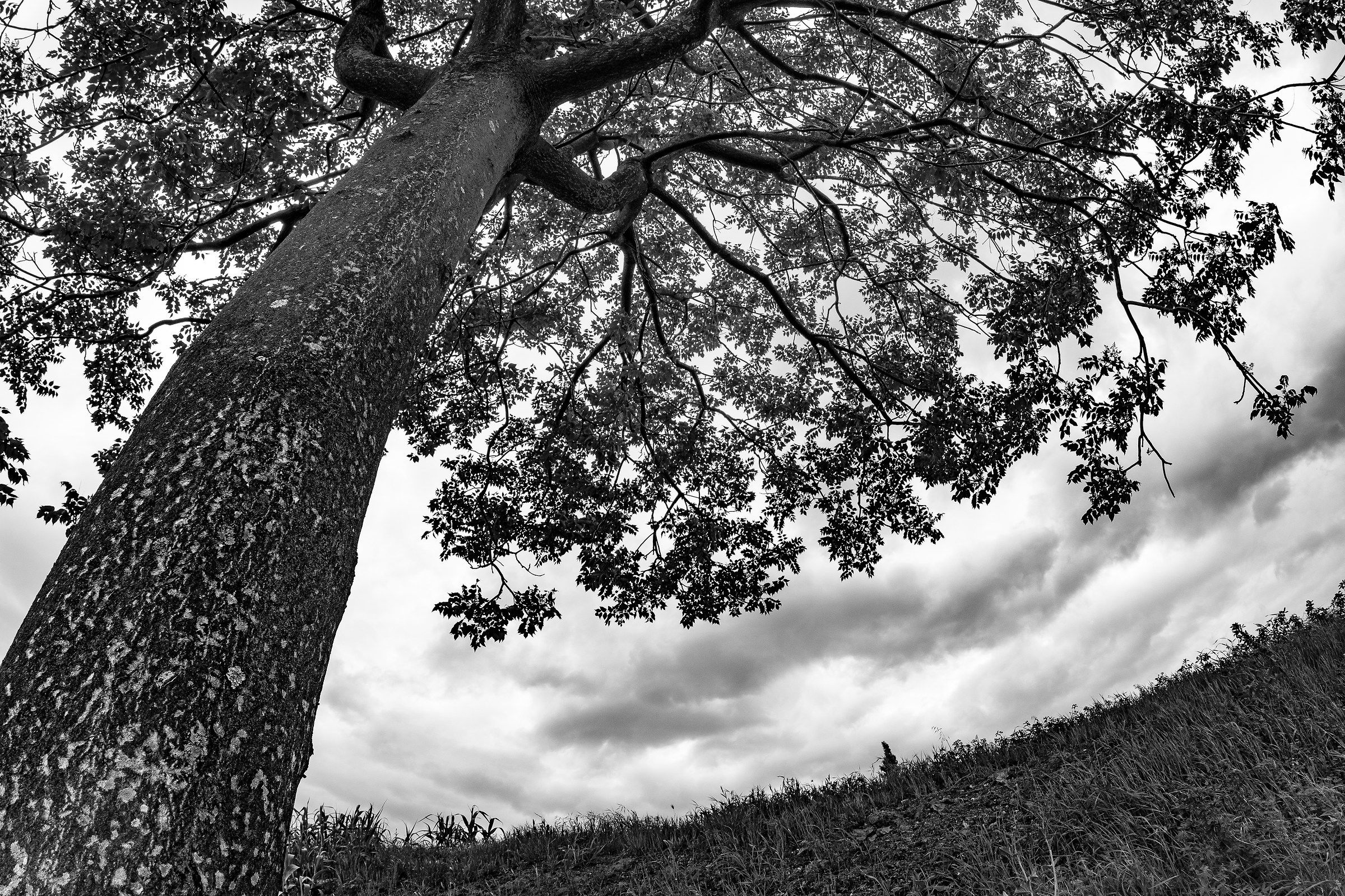 The brink of the world