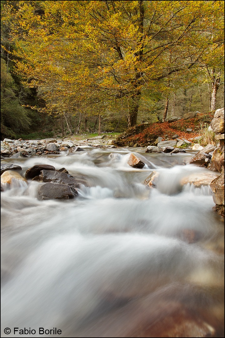 Jonah stream. (Curiglia with Monteviasco - VA)