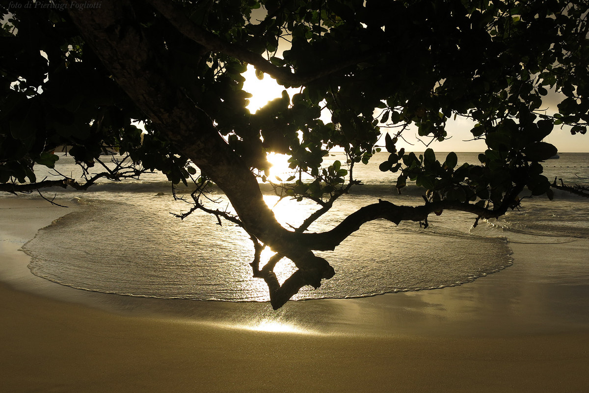 Anse Lazio - Seychelles