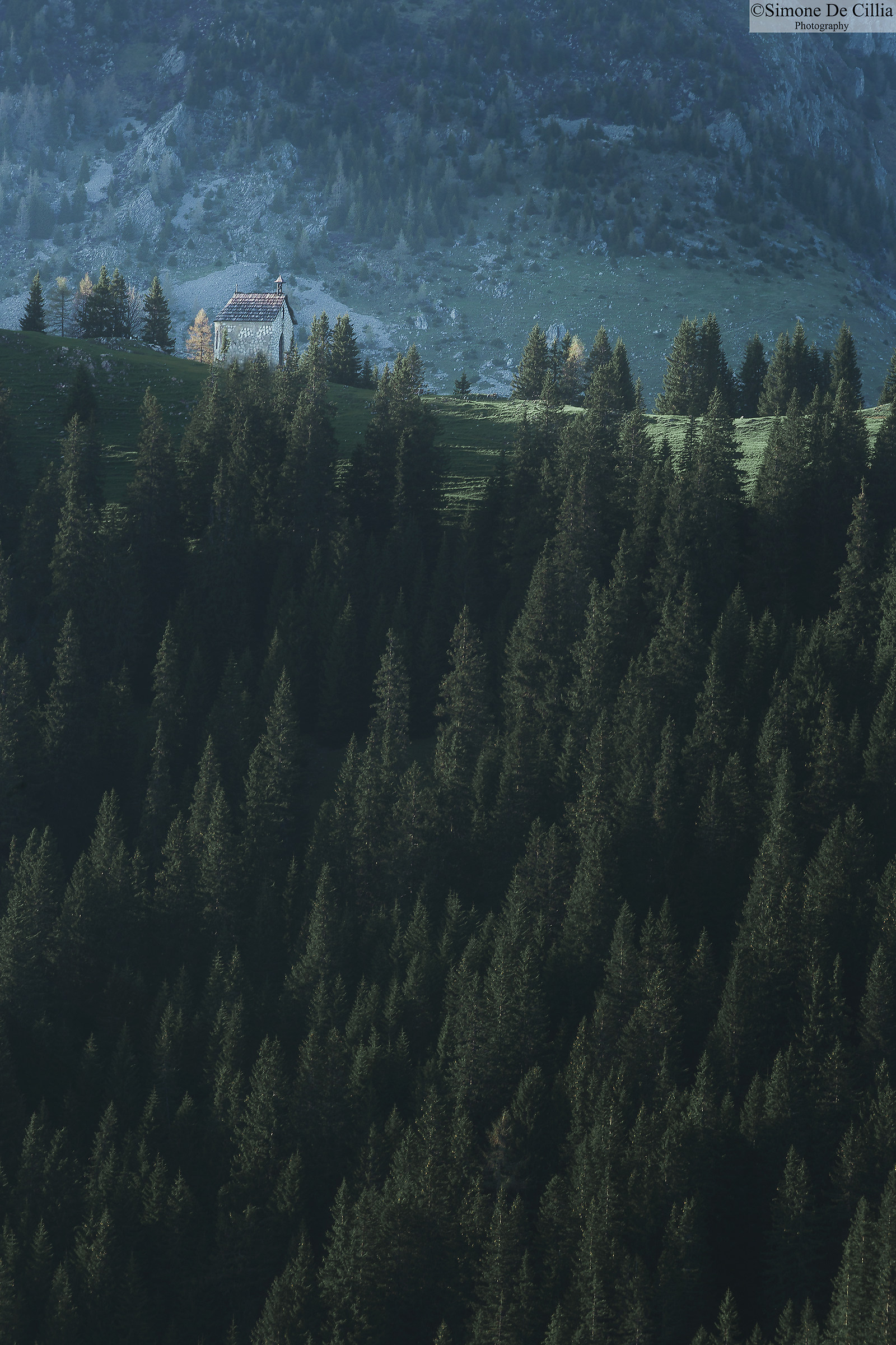 Blinded by the Light