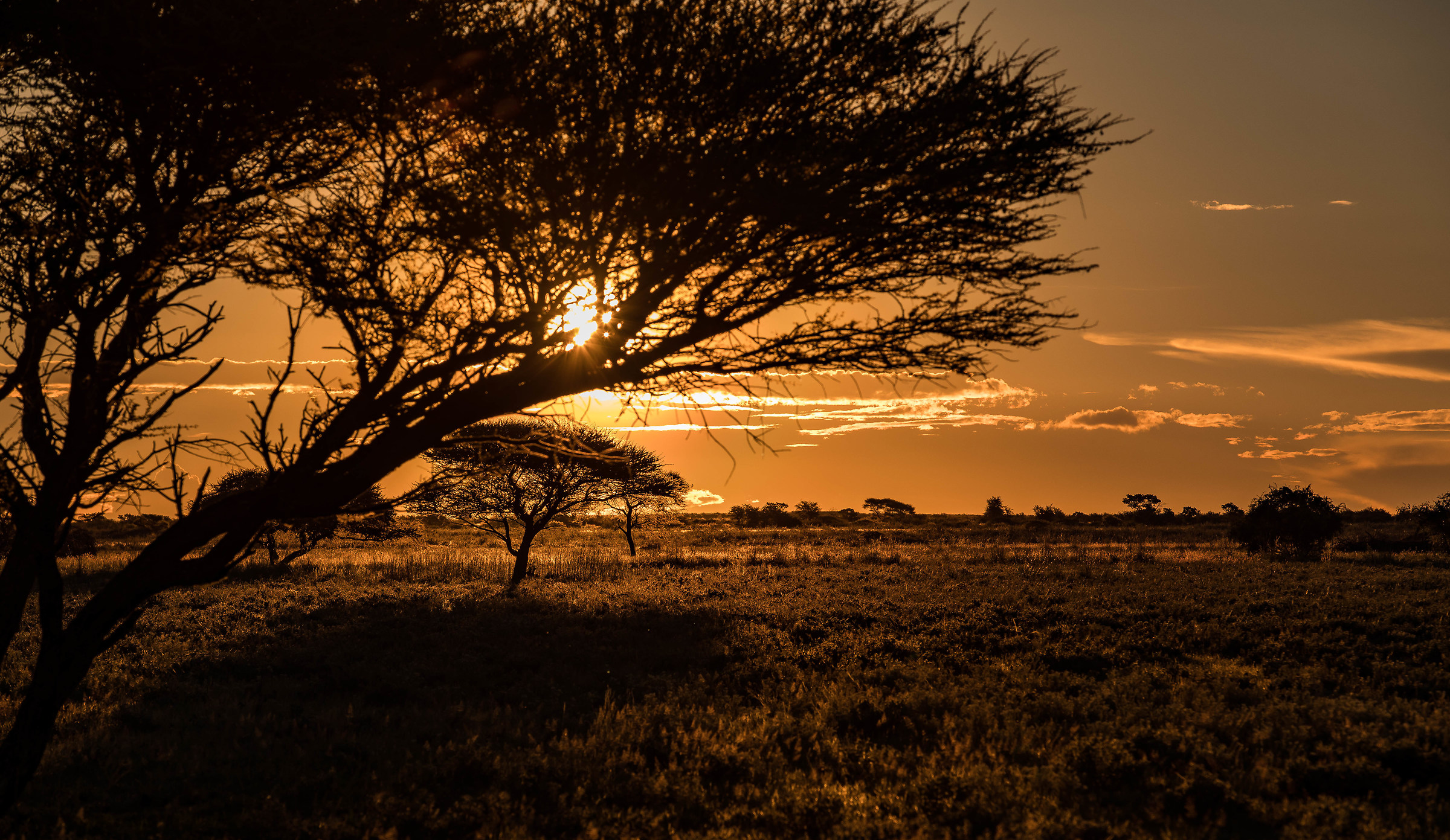 Sunset Kalahari