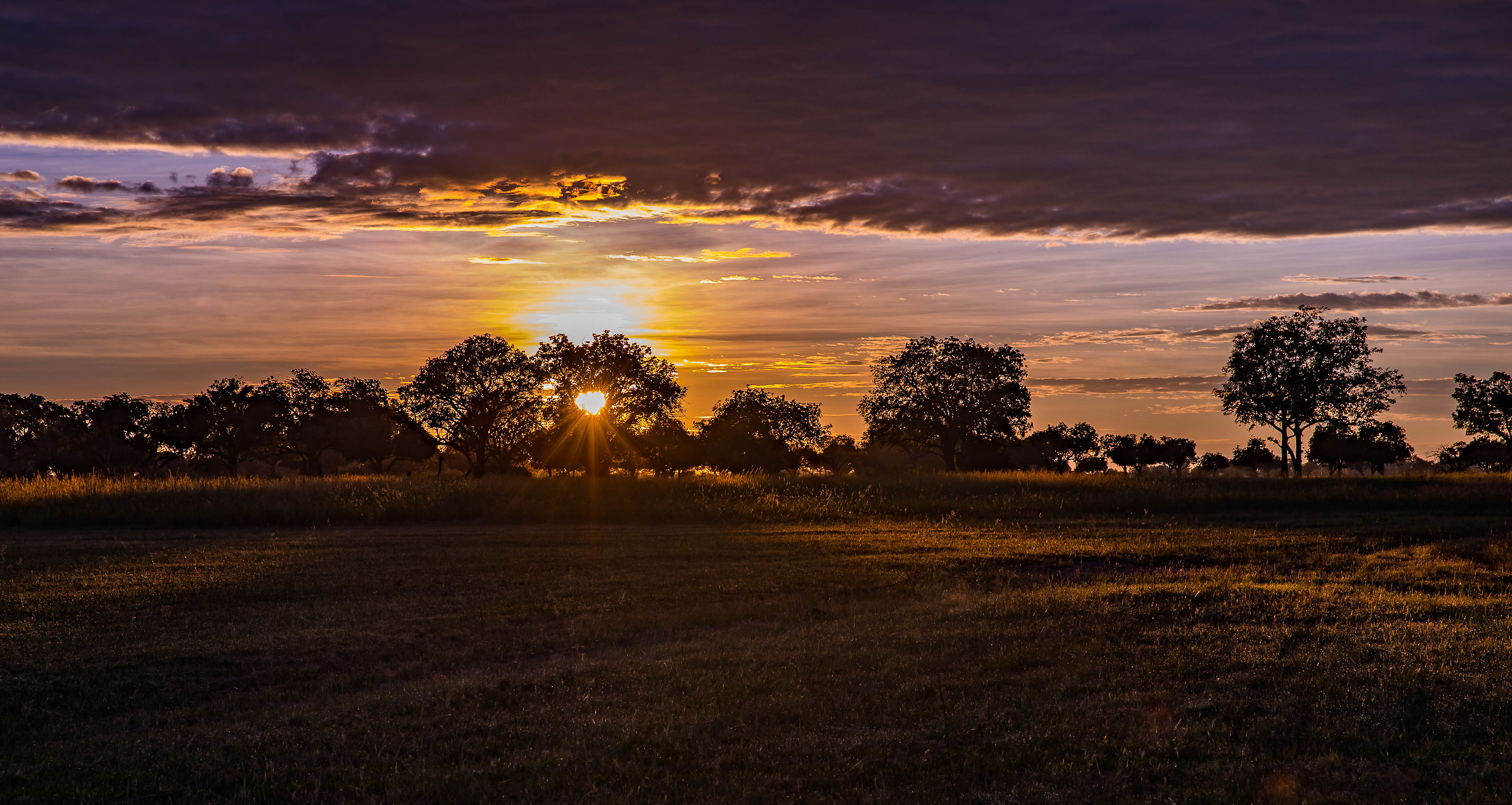 Sunrise Okawango Delta