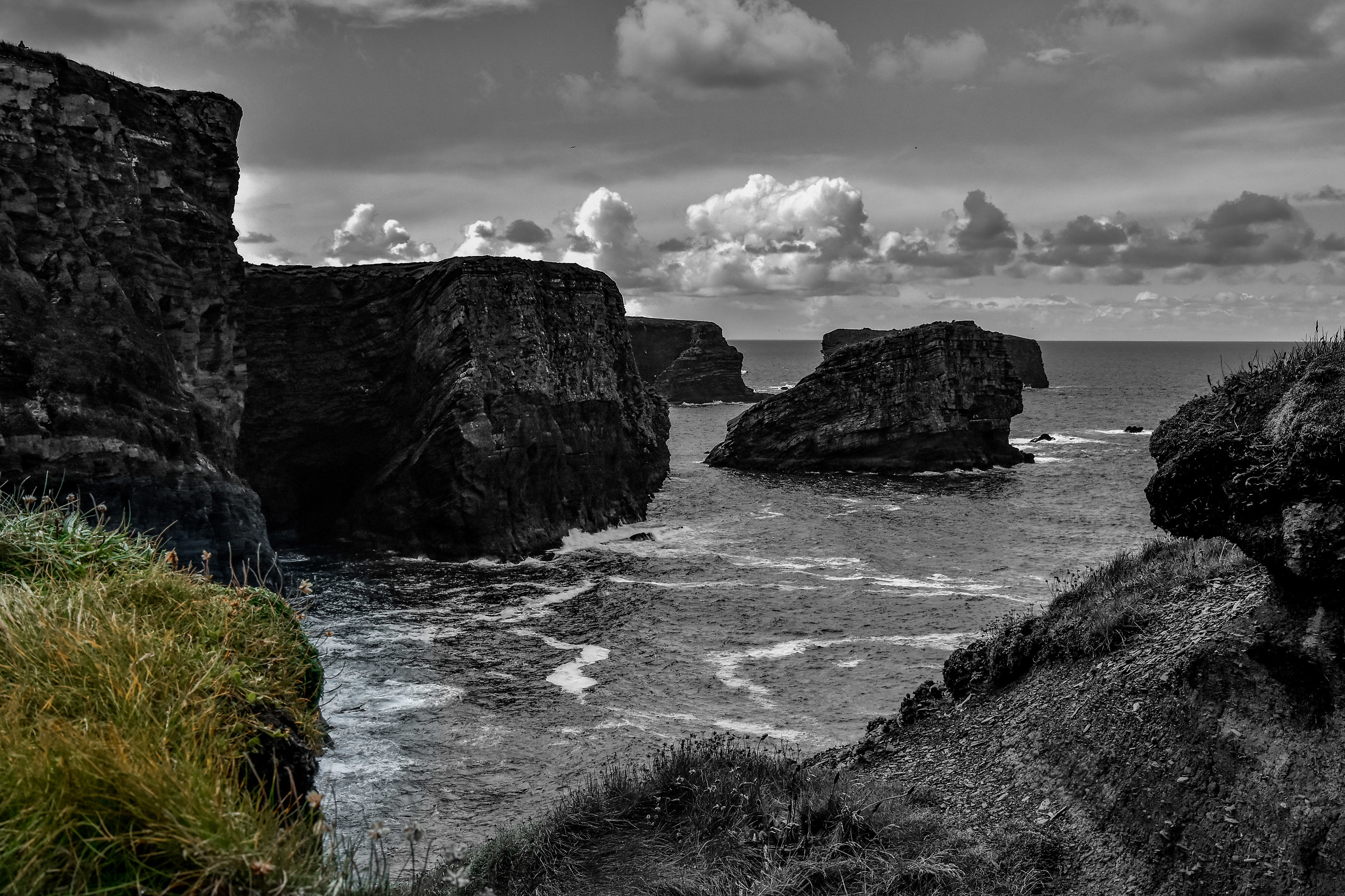 Spot of Green on B&W