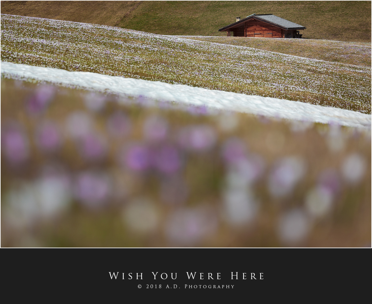 Wish You Were Here