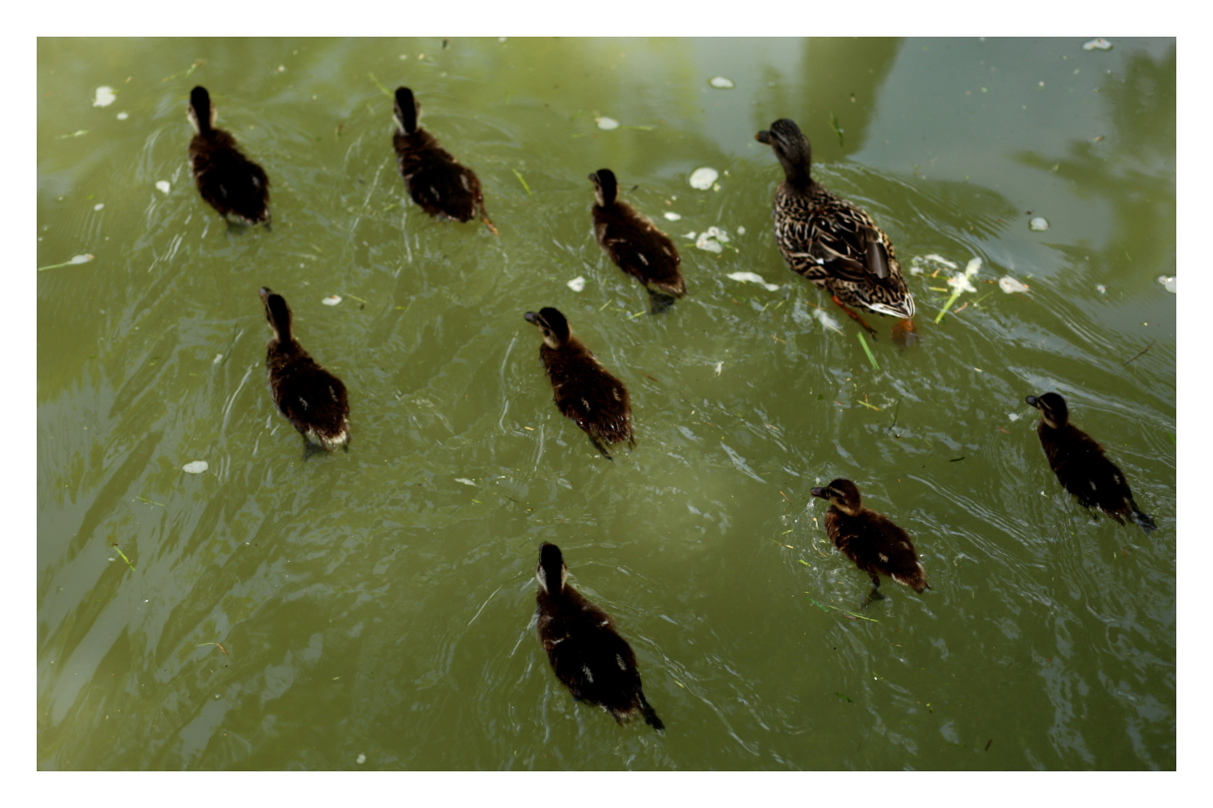 The Invisible Armada