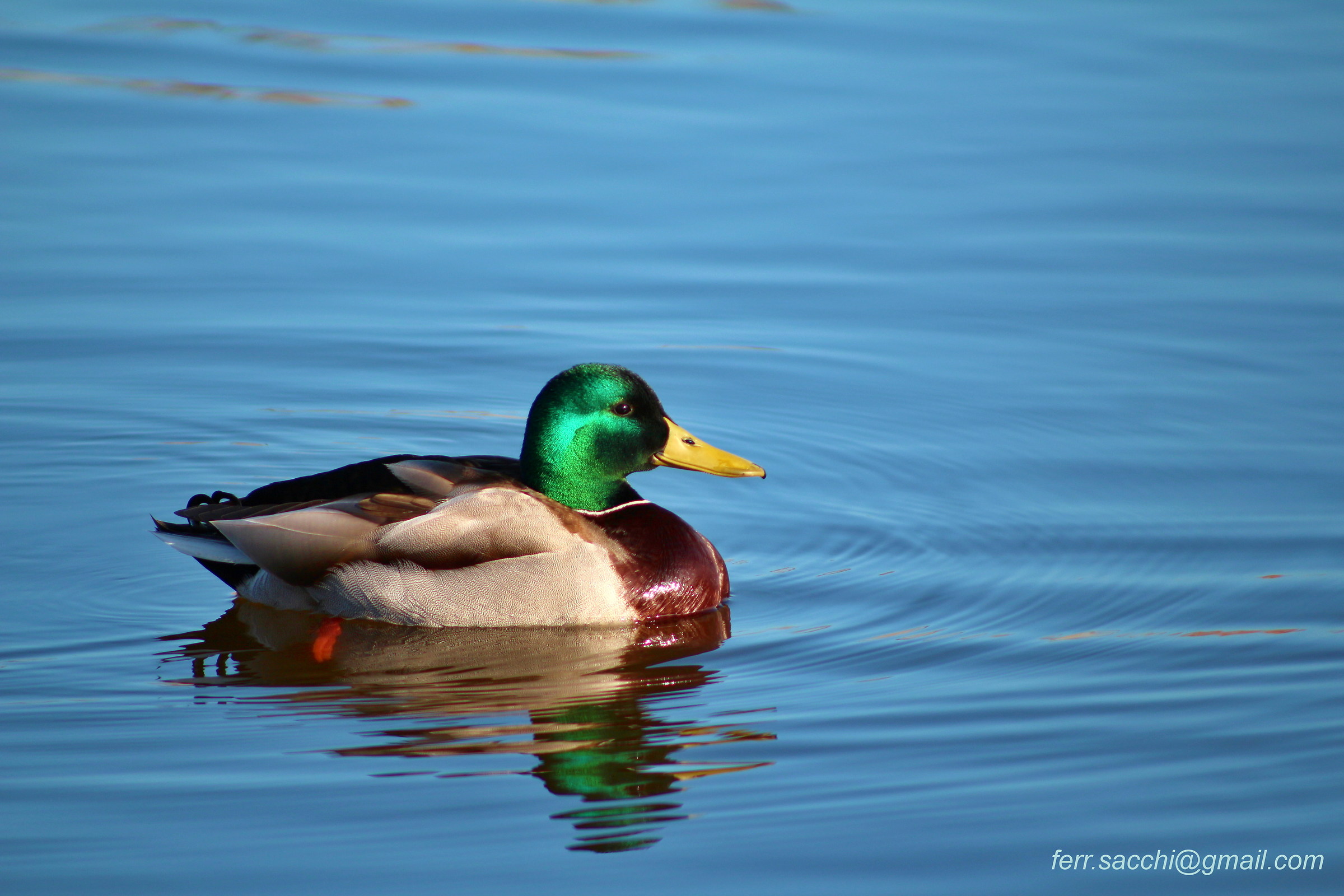 ...attimi di relax...