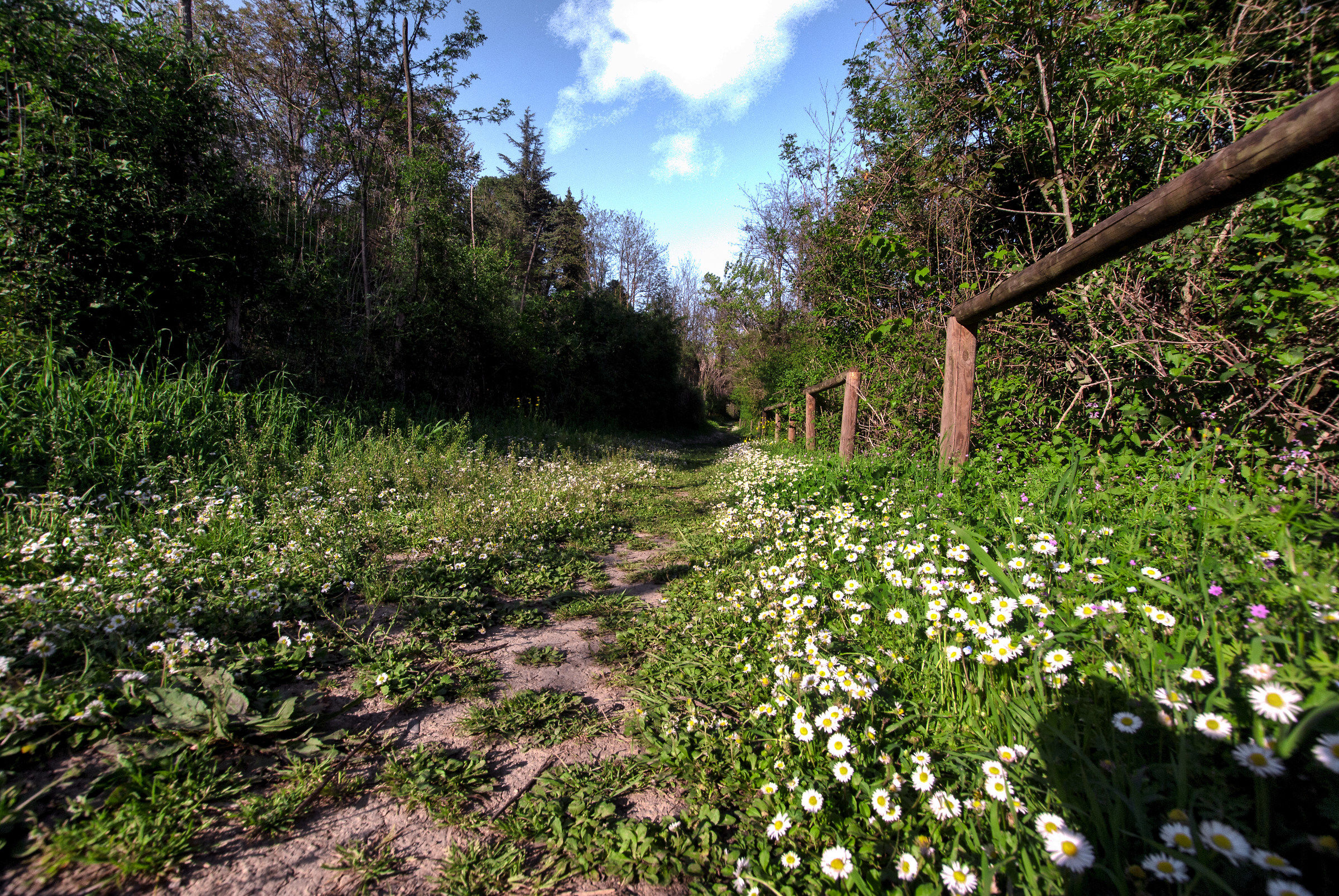 Il Sentiero Come la Vita