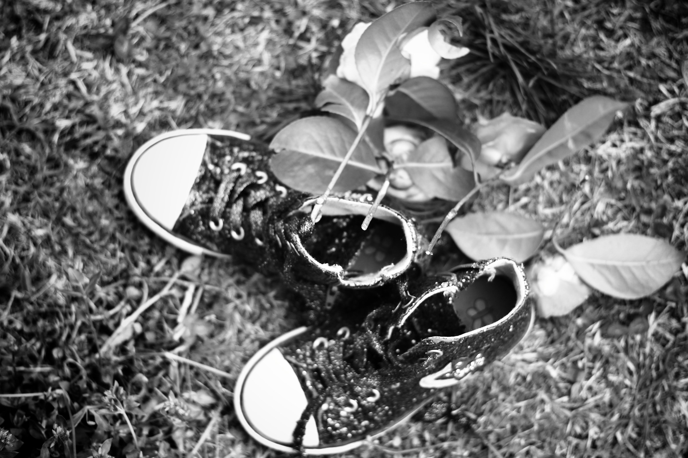 ... barefoot in the Meadow