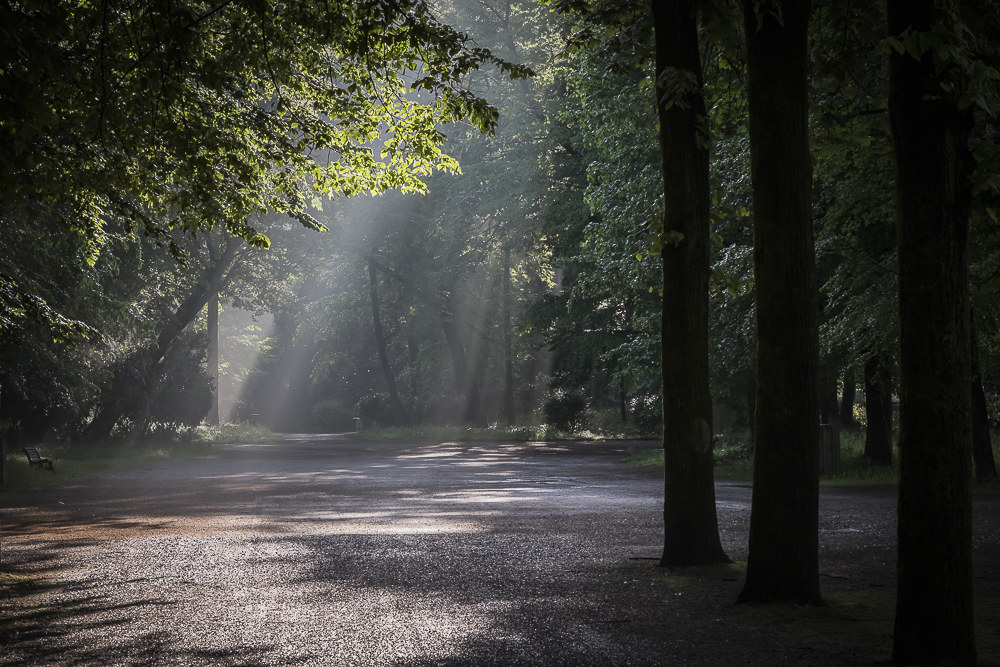 Light Morning effects 2