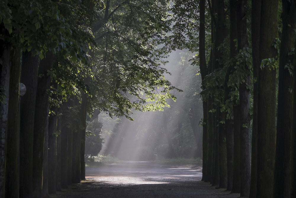 Light Morning effects 1