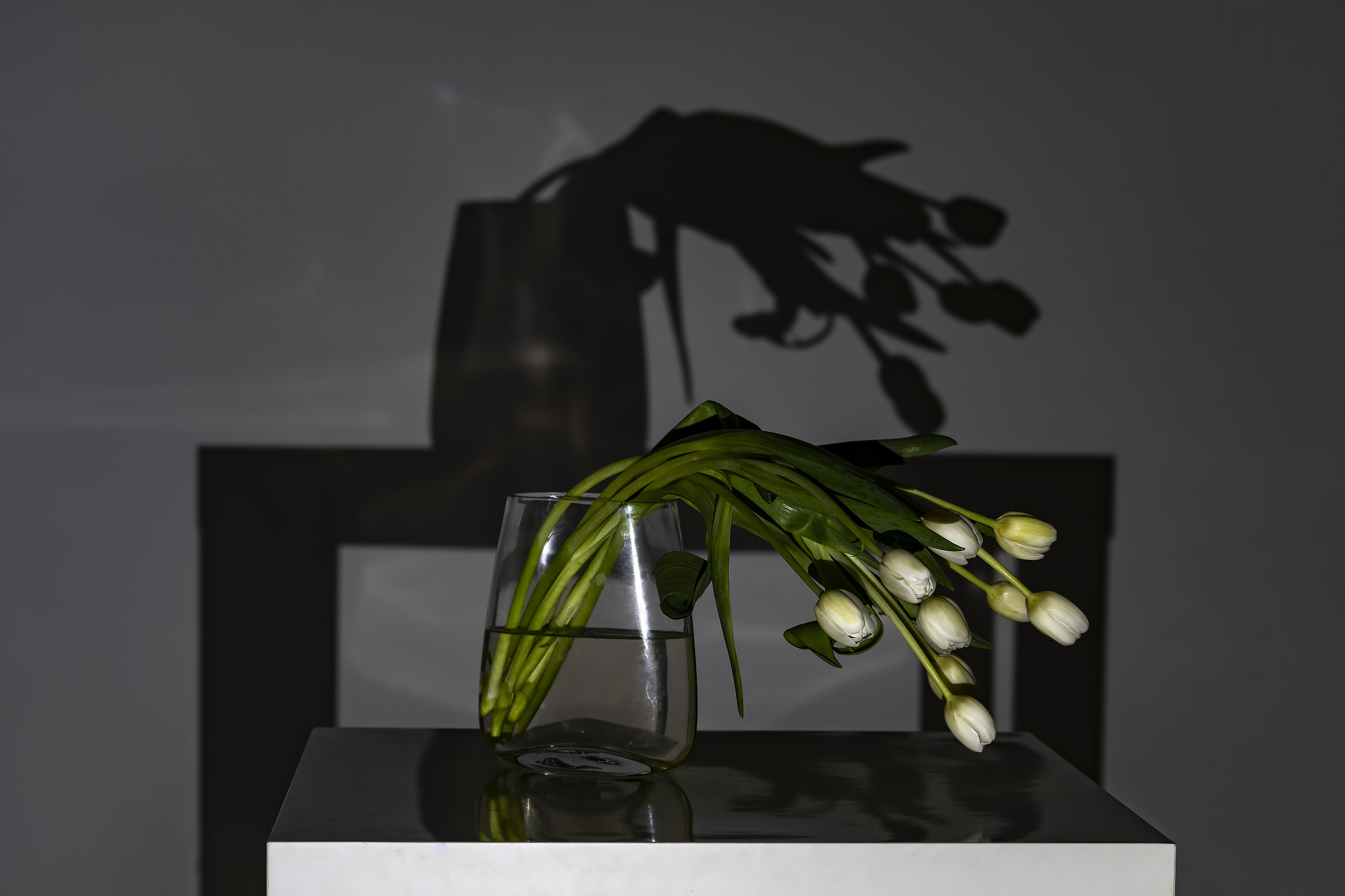 l'ombra - essenza del fiore -