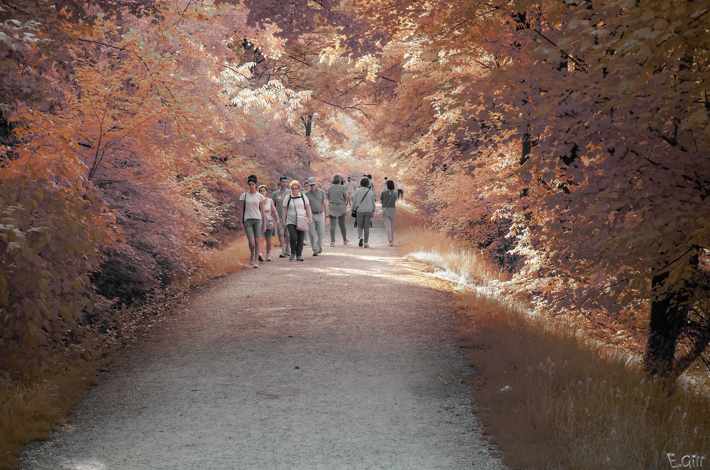 Passeggiata all'infrarosso