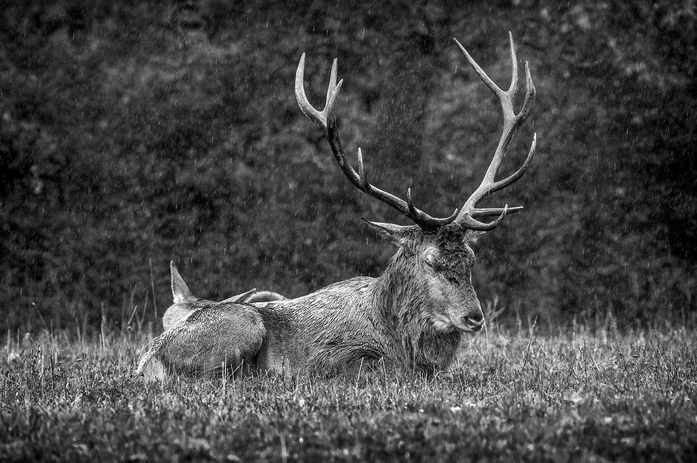 Piove sul nostro amore