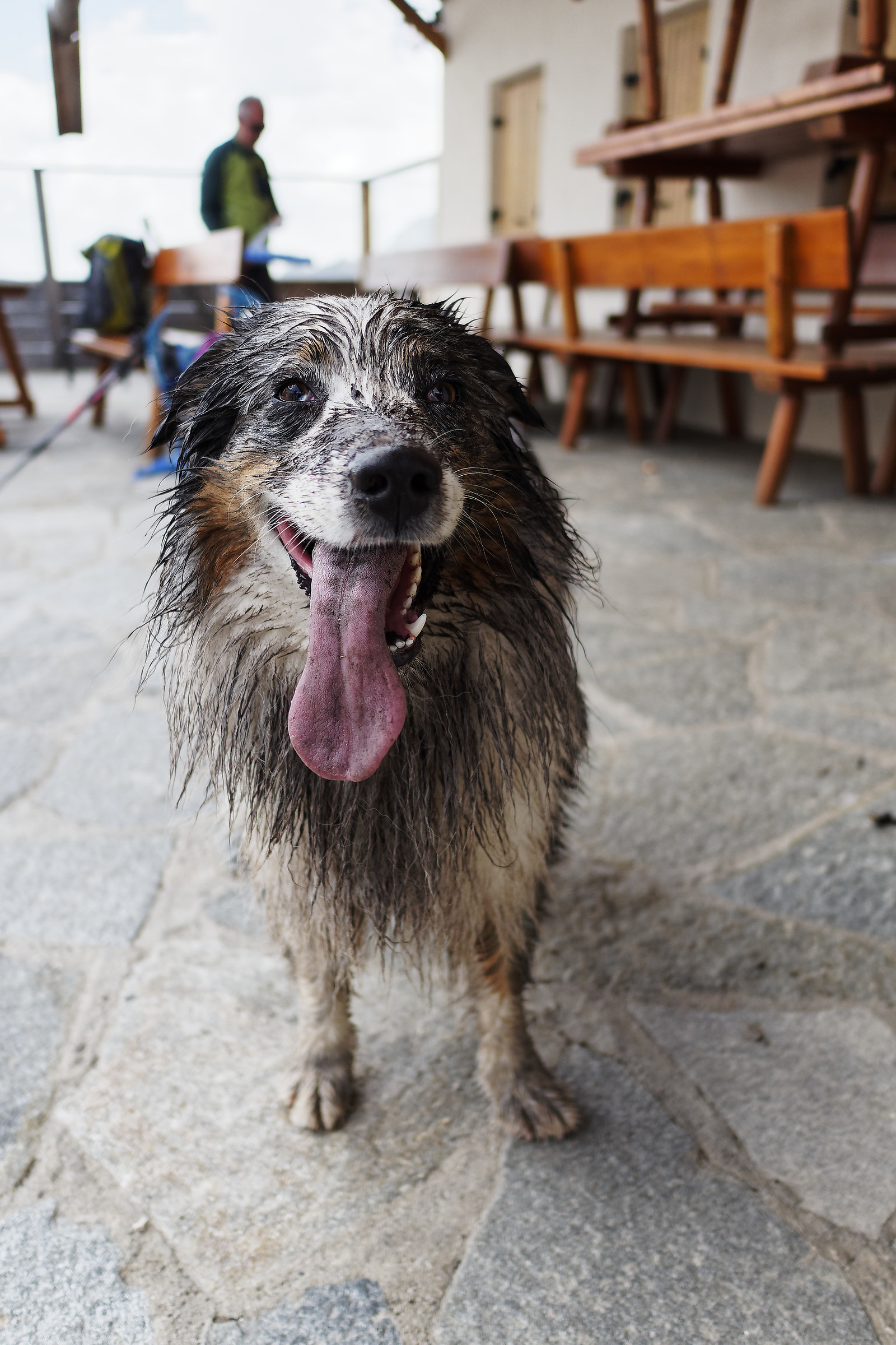 I assure you, I know nothing!