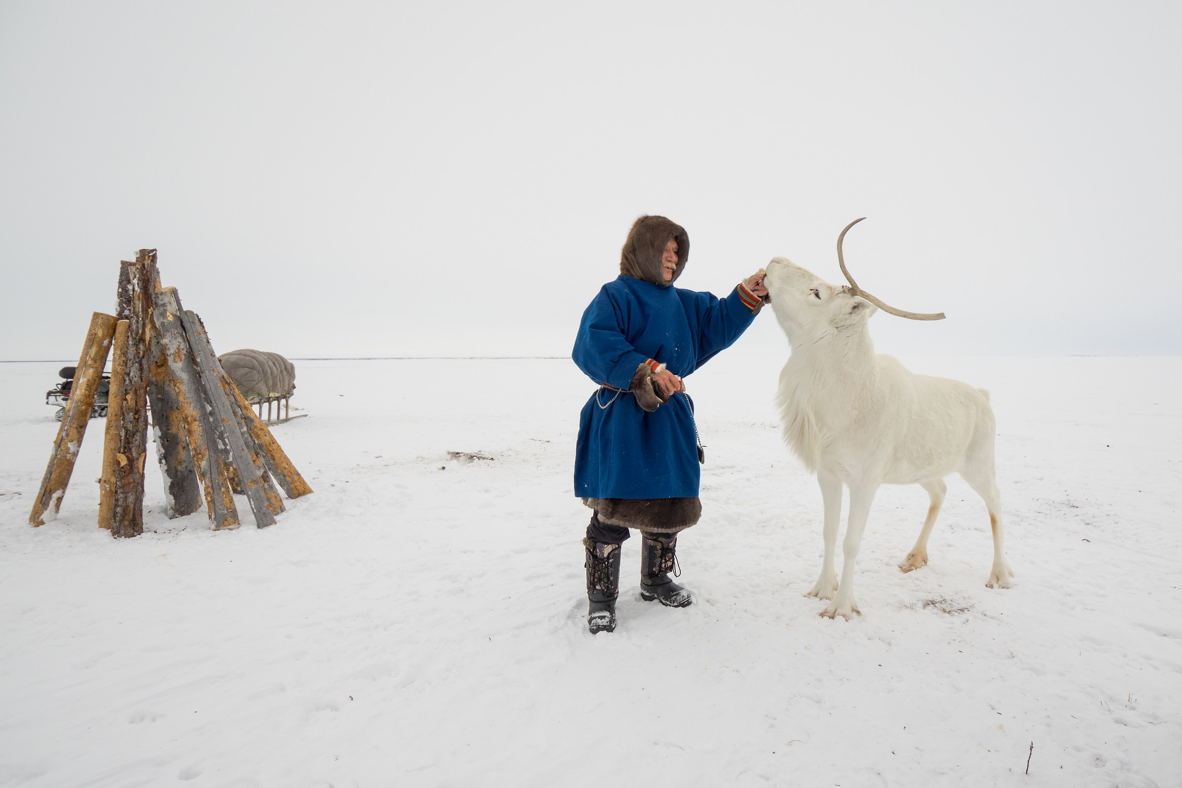 Pavel e la renna sacra