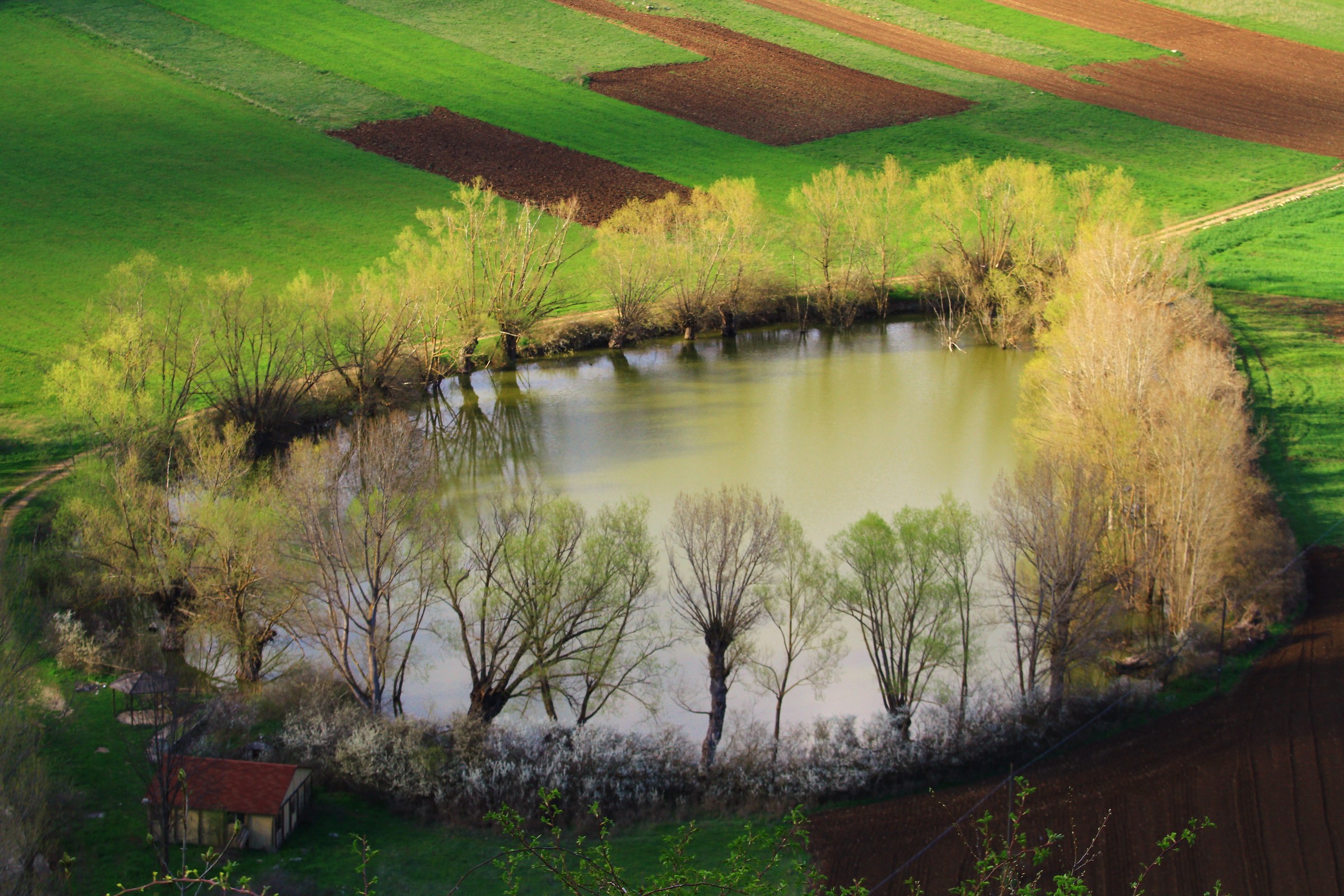 Piccola agricoltura di Montagna.