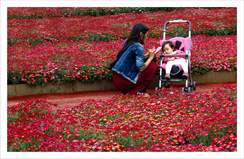 ... and the little fellow fell asleep among the flowers