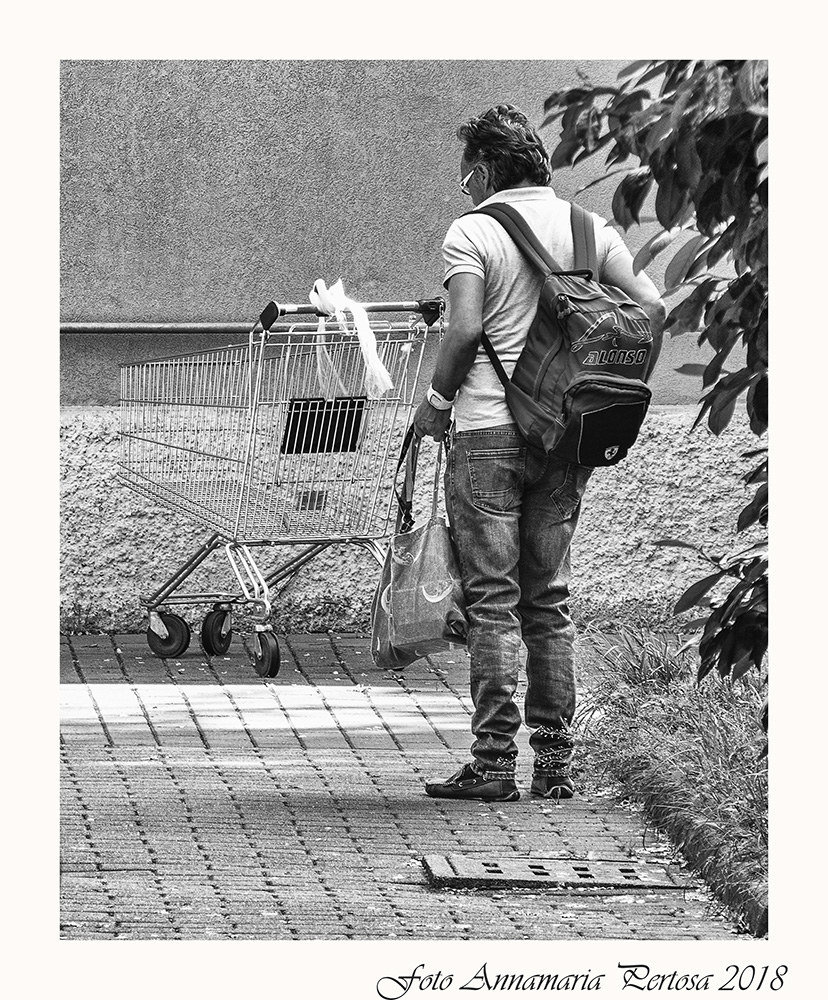 Shopping and shopping cart at home