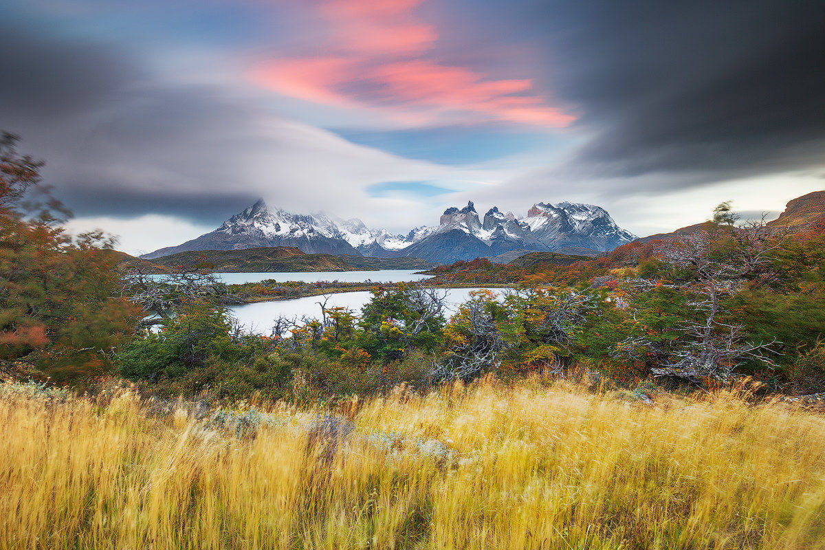 Patagonia Dreaming