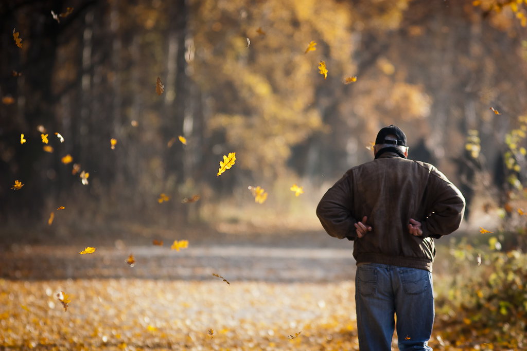 Autunno a piedi Windy