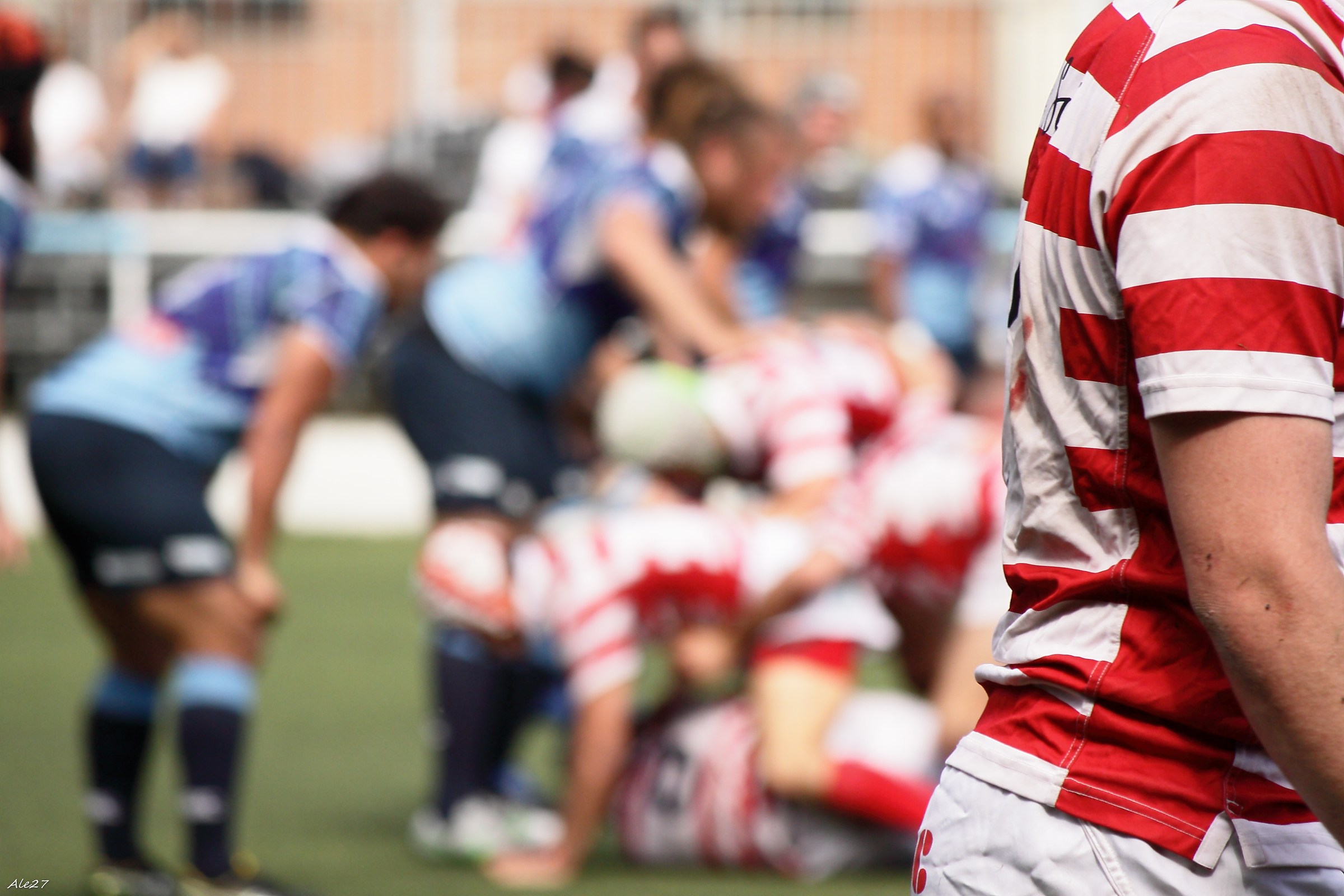 allontanandosi dalla mischia ...