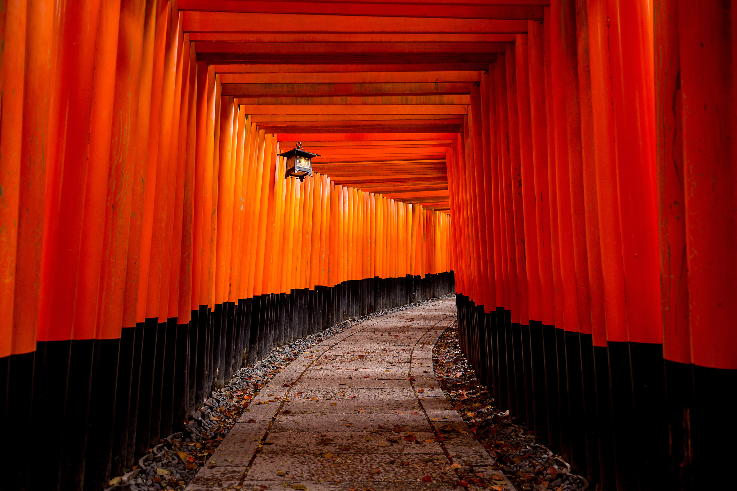 Fushimi Inari