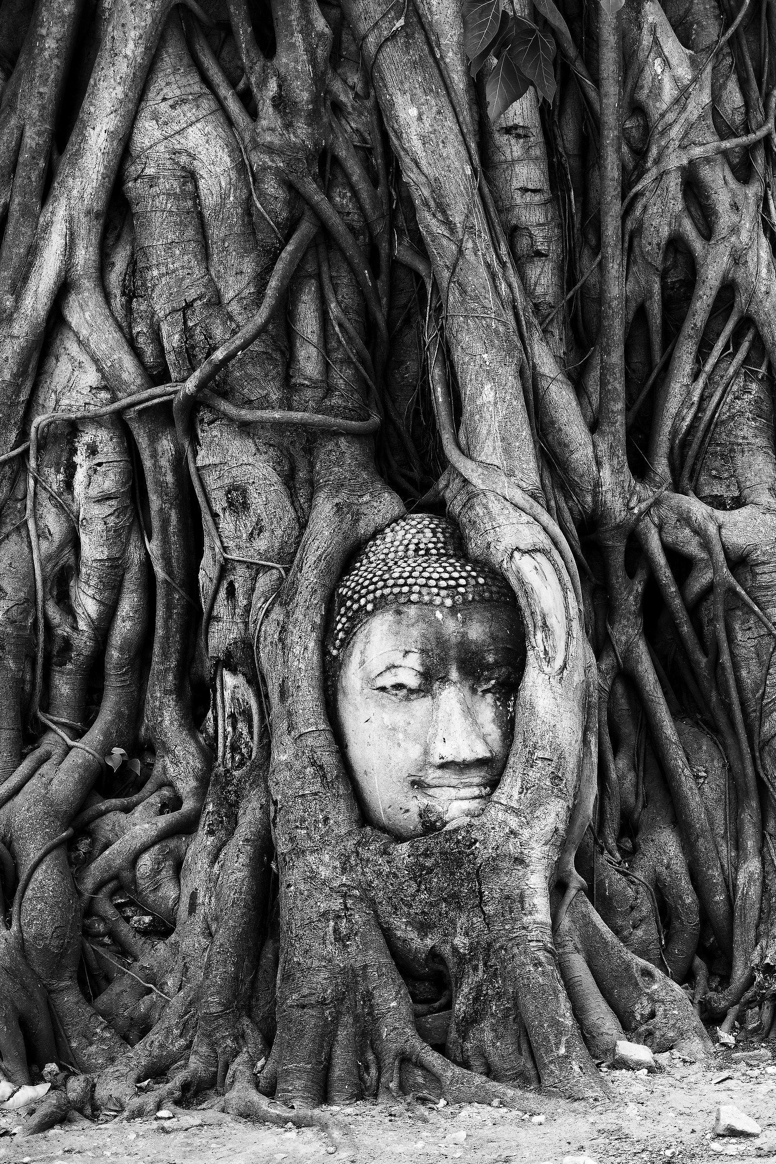 Head of Ayutthaya